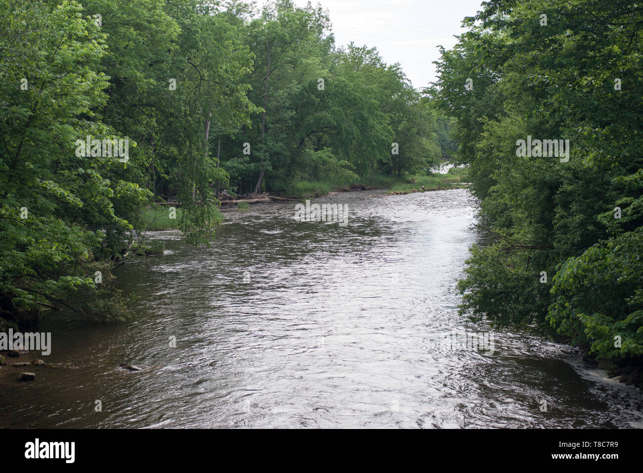 Willow River State Park, Wisconsin Foto Stock