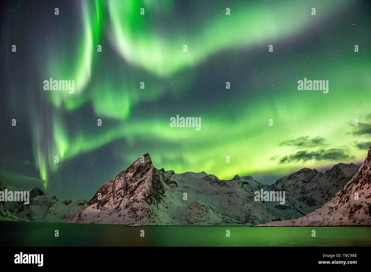 Luci del nord (Aurora Boreale) su montagne in inverno, Olstinden, Hamnoy, Moskenesoy, Lofoten, Norvegia Foto Stock Luci del nord (Aurora Boreale) su montagne in inverno, Olstinden, Hamnoy, Moskenesoy, Lofoten, Norvegia Foto Stock