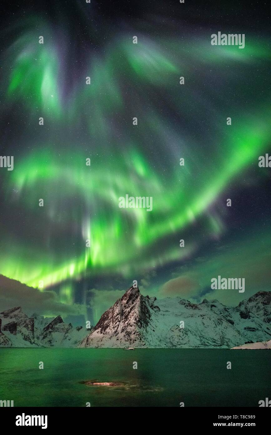 Luci del nord (Aurora Boreale) su montagne in inverno, Olstinden, Hamnoy, Moskenesoy, Lofoten, Norvegia Foto Stock Luci del nord (Aurora Boreale) su montagne in inverno, Olstinden, Hamnoy, Moskenesoy, Lofoten, Norvegia Foto Stock