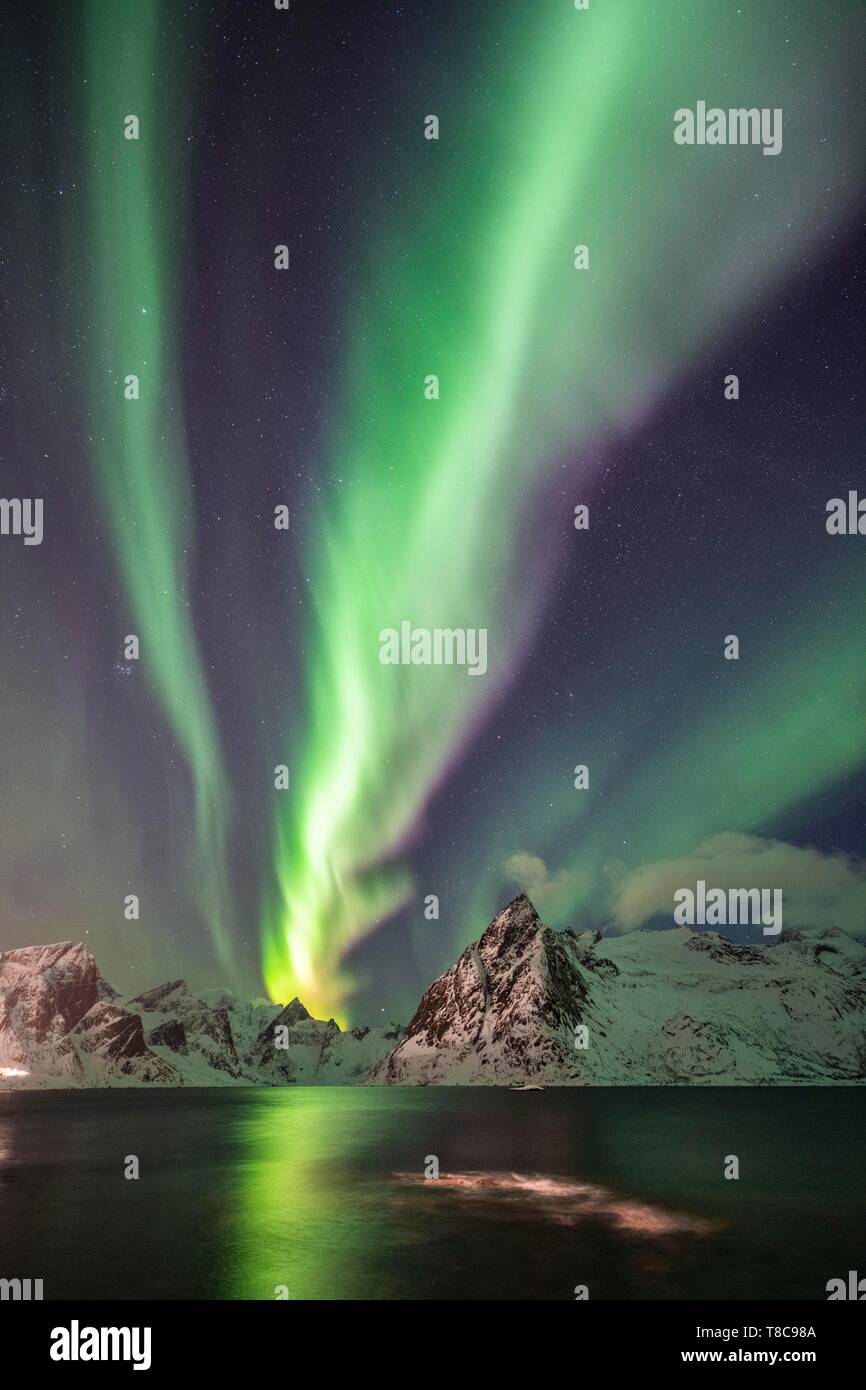 Luci del nord (Aurora Boreale) su montagne in inverno, Olstinden, Hamnoy, Moskenesoy, Lofoten, Norvegia Foto Stock Luci del nord (Aurora Boreale) su montagne in inverno, Olstinden, Hamnoy, Moskenesoy, Lofoten, Norvegia Foto Stock