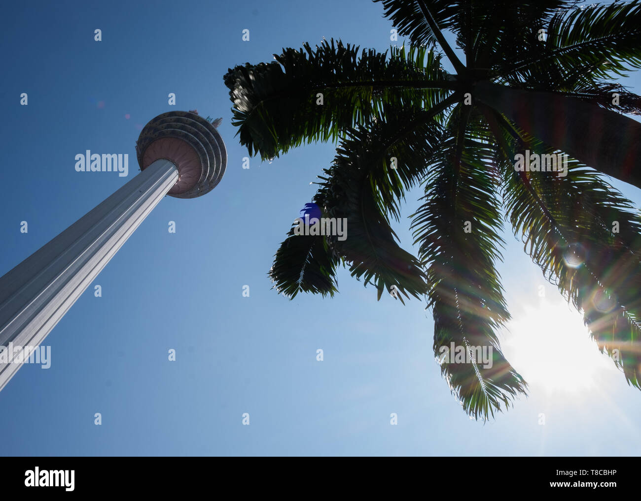 Basso angolo di vista dalla torre di Kuala Lumpur, Kuala Lumpur, Malesia Foto Stock