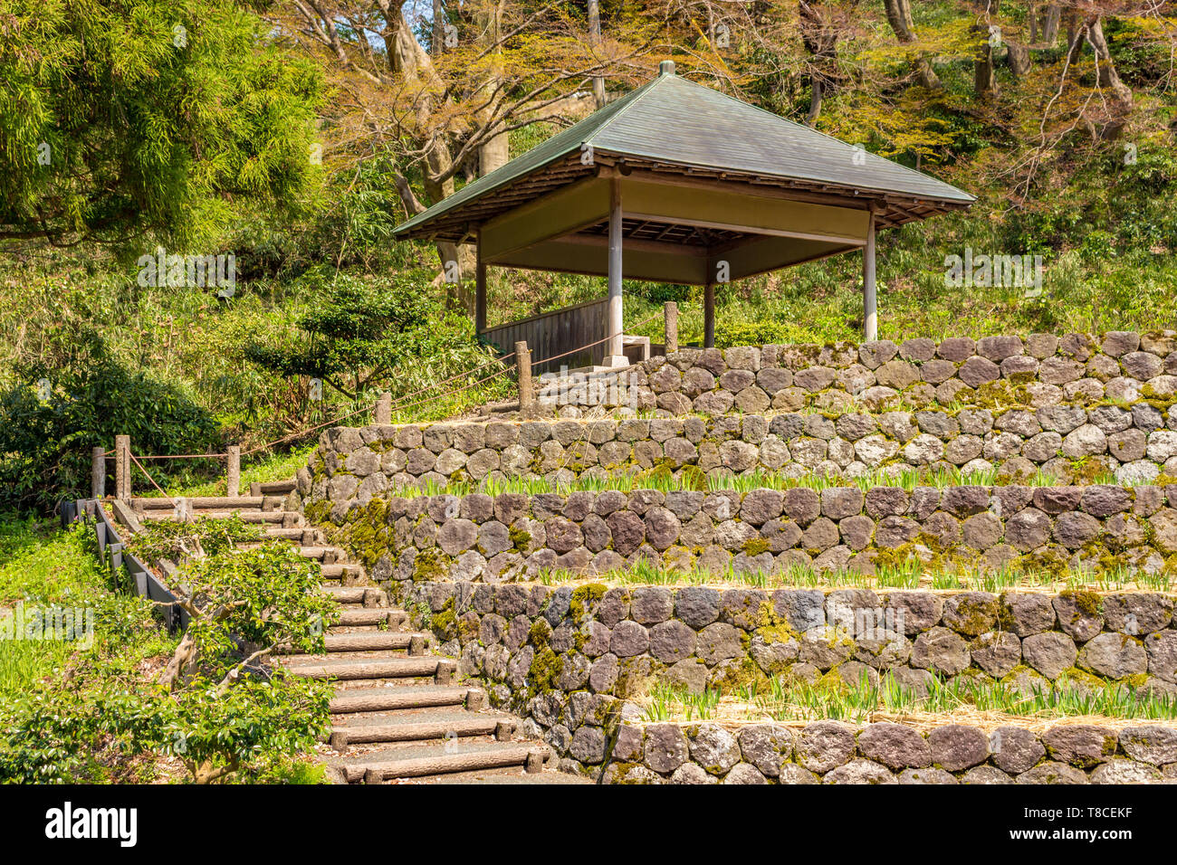 Appoggio in legno capanna e intensificato la risaia terrazze, con gradino percorso in legno, Kanazawa, Ishikawa Prefettura, Giappone occidentale. Foto Stock