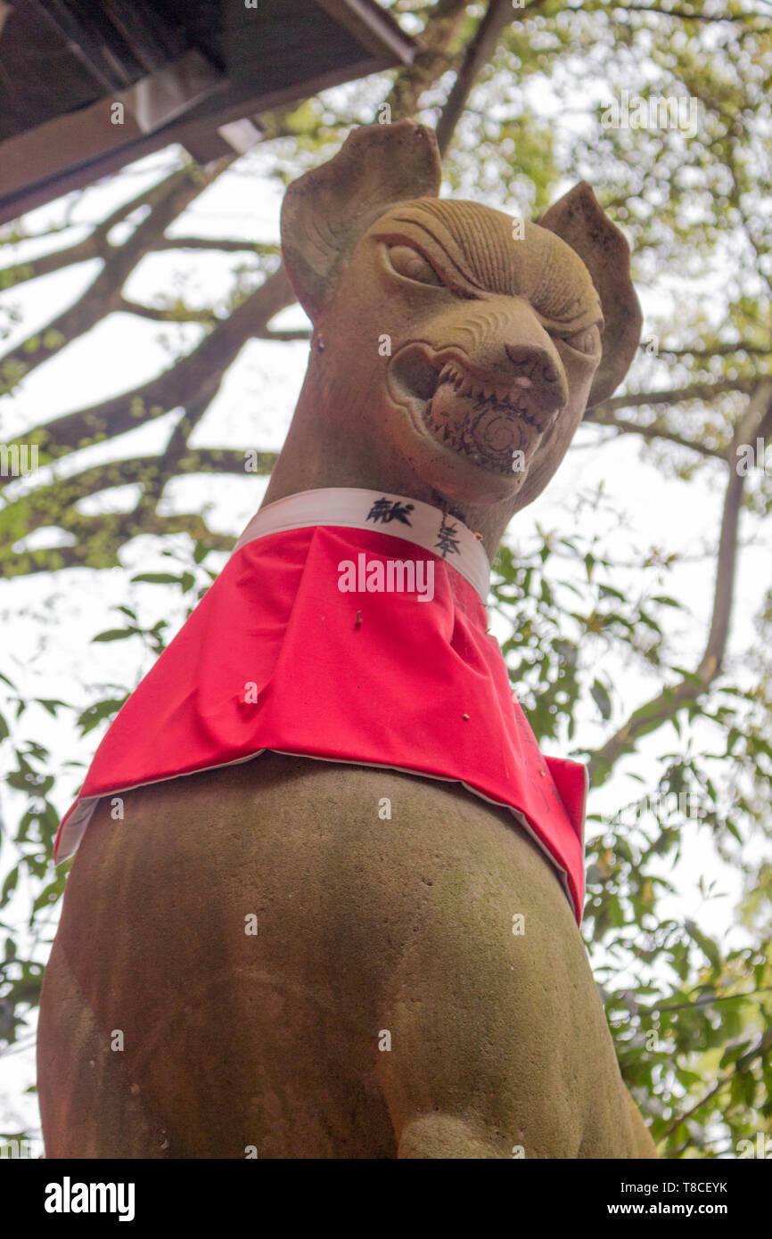 Basso angolo vista della statua della fox (kitsune) dio inari,indossando un cartellino rosso che simboleggia la fertilità e la vita, a un sacrario scintoista a Kyoto, in Giappone. Foto Stock