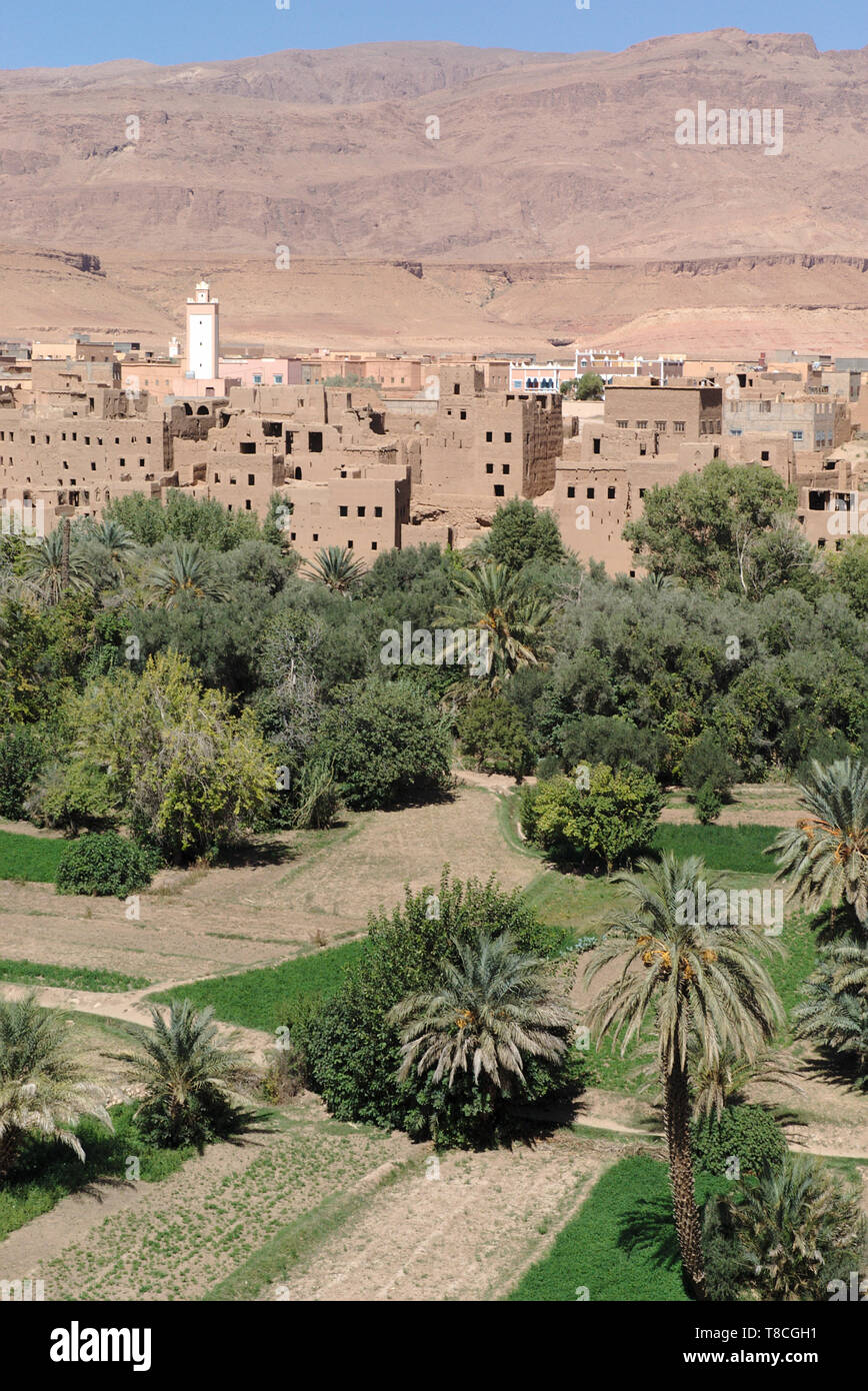 Edifici e alberi della Errachidia oasi città in Marocco Foto Stock