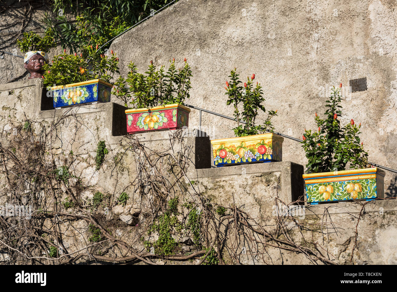 Ceramiche colorate fioriere, Positano, Costiera Amalfitana, Italia Foto Stock