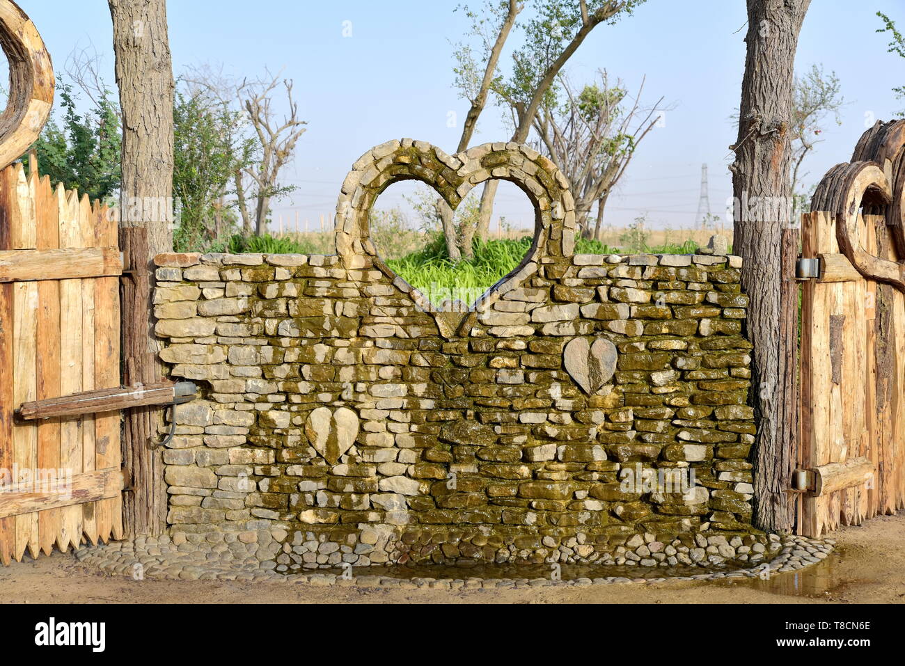 Amore lago Al Qudra, lago artificiale Al Qudra deserto, Dubai, Emirati Arabi Uniti Foto Stock