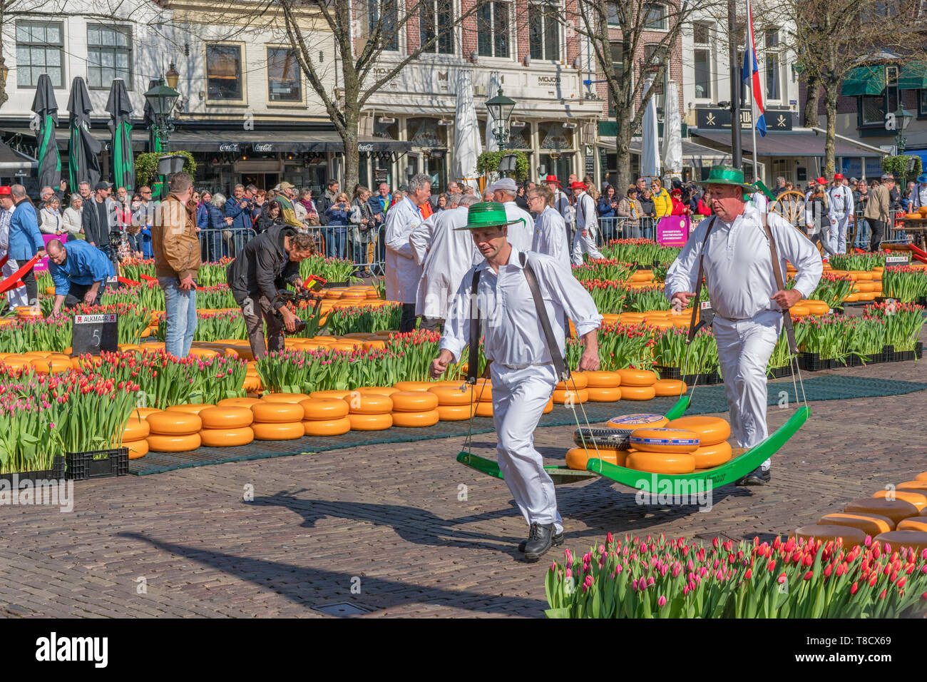 Alkmaar, Paesi Bassi - 12 Aprile 2019: tradizionale mercato del formaggio sulla piazza Waagplein in Alkmaar. Foto Stock