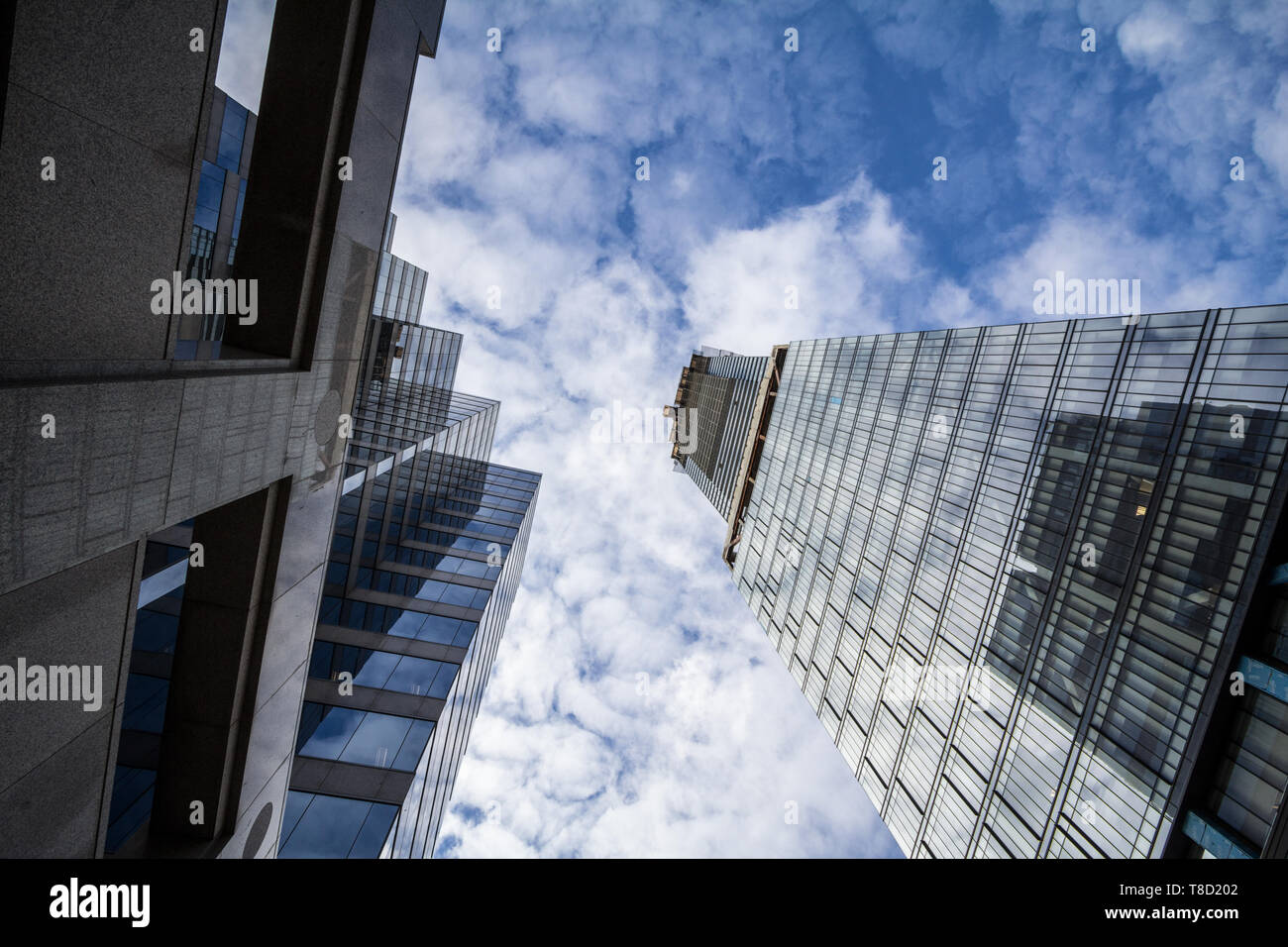 I grattacieli di business in un tipico North American CBD Downtown, fatta di alte torri, sotto un cielo blu. I quartieri degli affari sono il financial hu Foto Stock