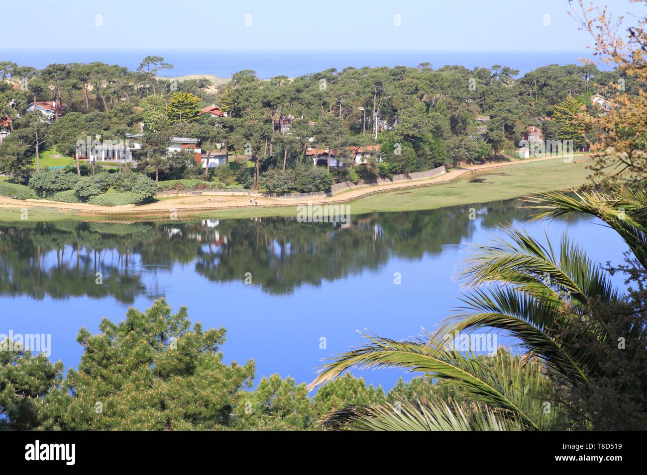 Francia, Landes, Lago di Hossegor, Soorts Hossegor, lago marino con una foresta di pini e sul fondo dell'Oceano Atlantico Foto Stock