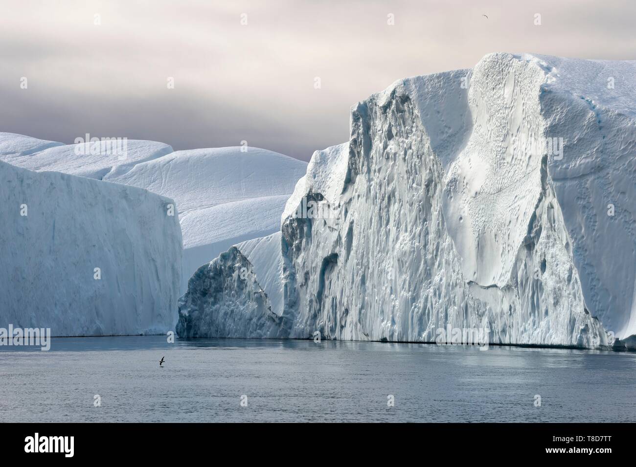 La Groenlandia, costa ovest, Disko Bay, Ilulissat, icebergs elencati come patrimonio mondiale dall' UNESCO che è la bocca del Sermeq Kujalleq Glacier Foto Stock