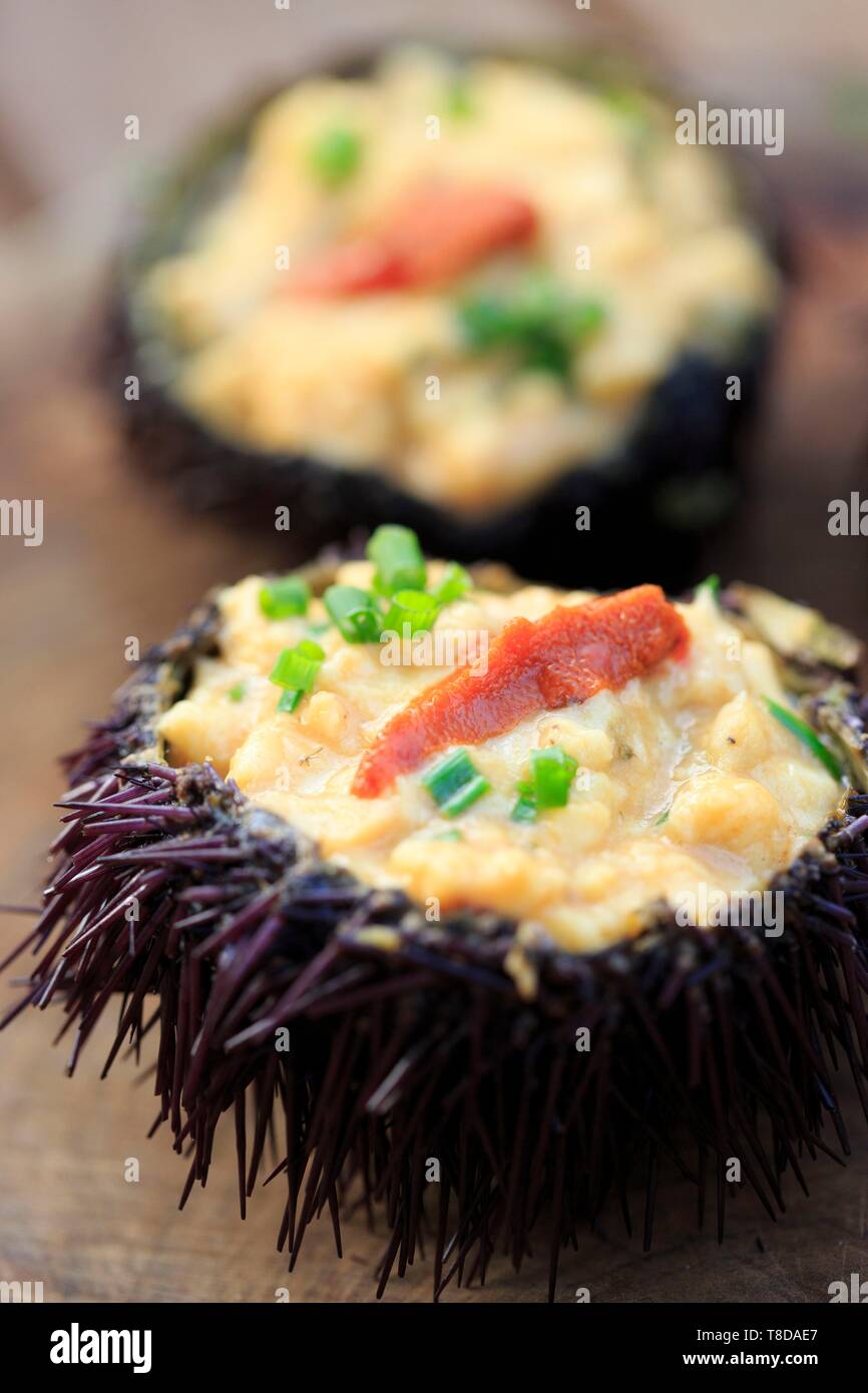 Francia, Corse du Sud, Freto, Bonifacio, Da Passano, ristorante, ricci di mare scramble Foto Stock