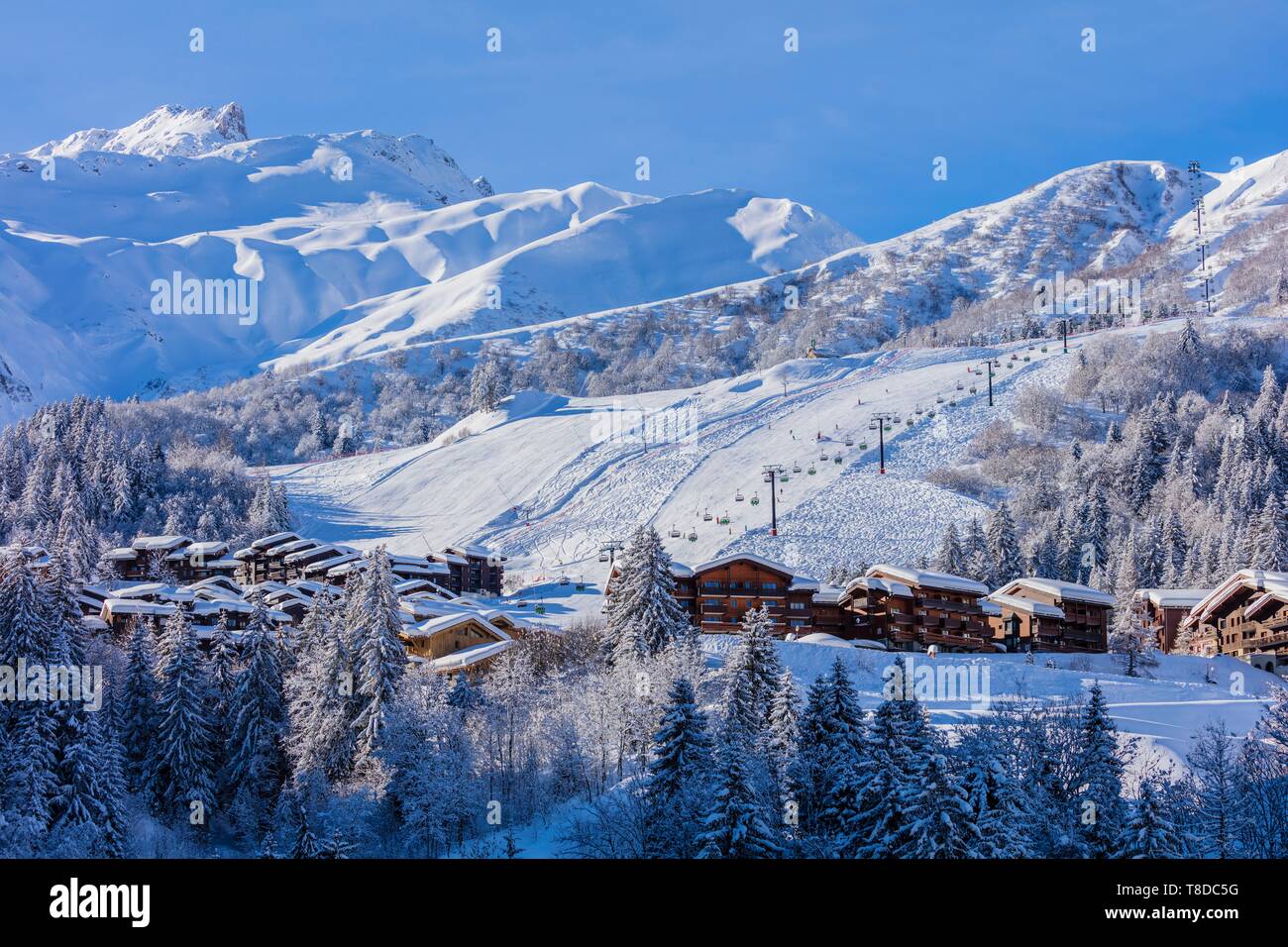 Francia, Savoie, Valmorel, massiccio della Vanoise, Valle Tarentaise, vista del Cheval Noir (2832m) Foto Stock