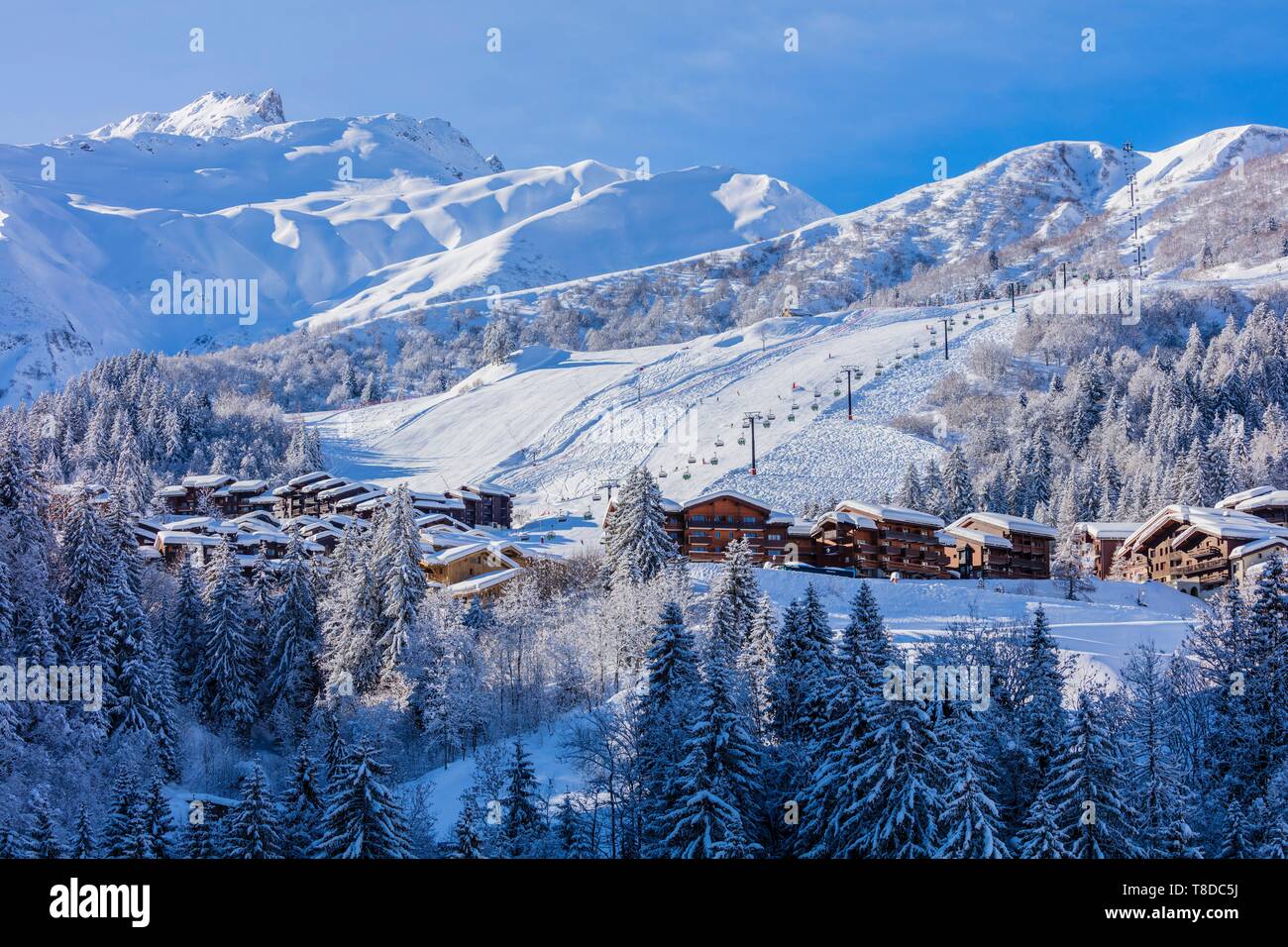 Francia, Savoie, Valmorel, massiccio della Vanoise, Valle Tarentaise, vista del Cheval Noir (2832m) Foto Stock