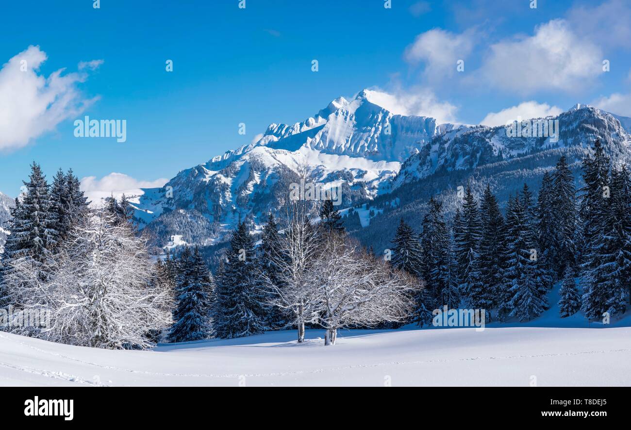 Francia, Haute Savoie, Bornes massiccio, Plateau des Glieres, vista panoramica della parte nordorientale del plateau e il picco di Jalouvre Foto Stock