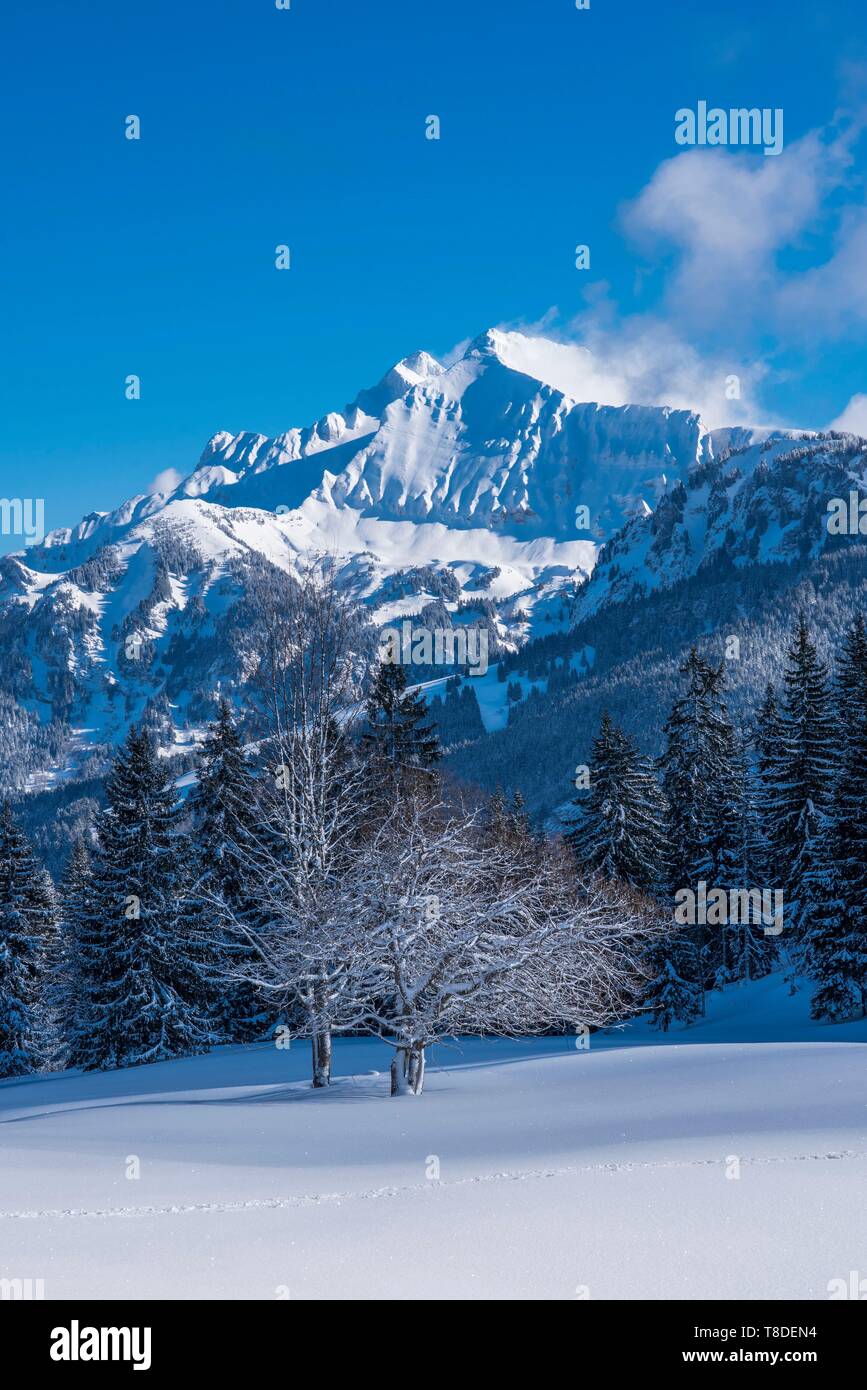 Francia, Haute Savoie, Bornes massiccio, Plateau des Glieres, la parte nord-orientale del plateau e il picco di Jalouvre Foto Stock