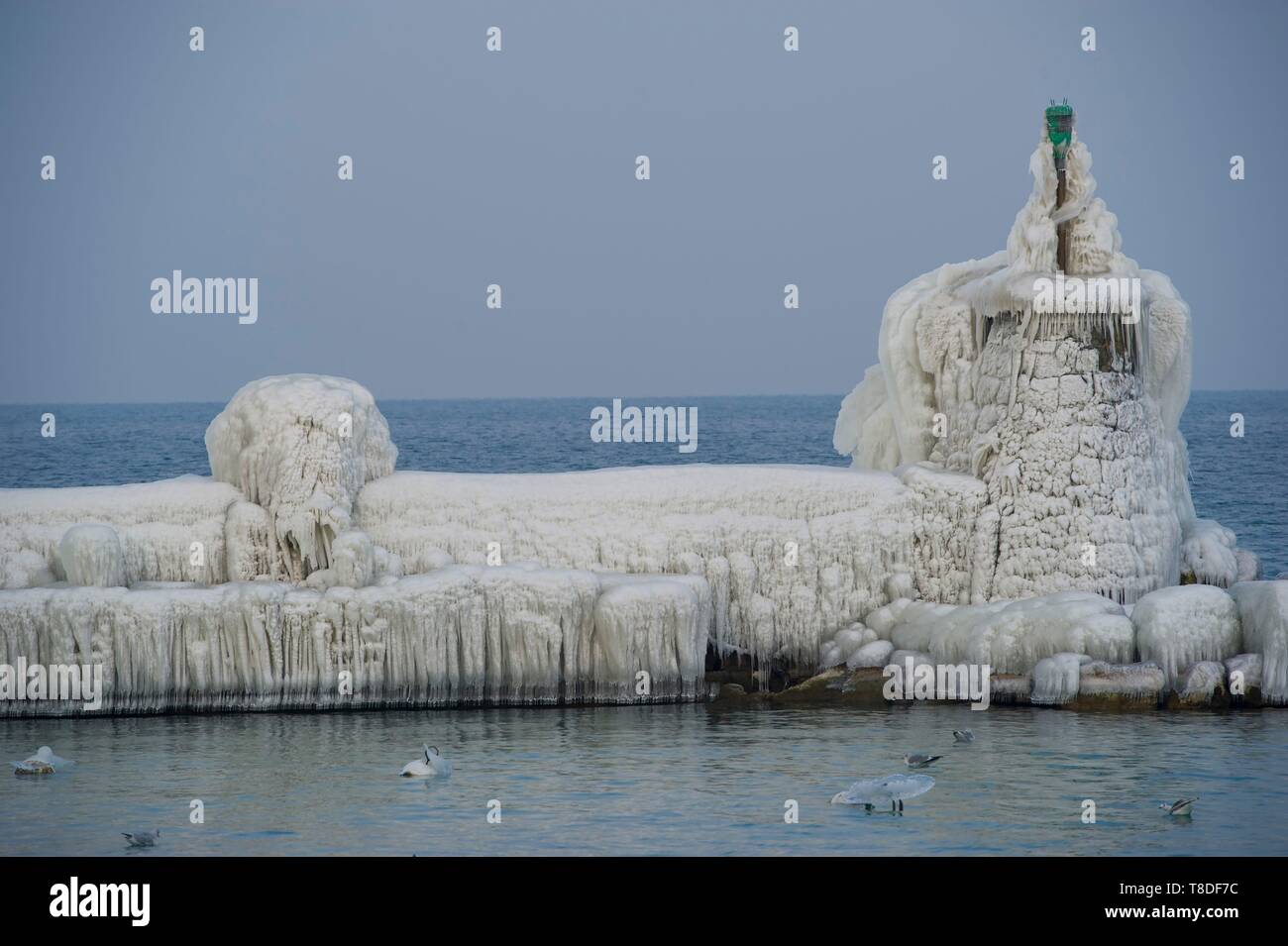 La Svizzera, nel Cantone di Vaud, Versoix, sulle rive del Lago di Ginevra ricoperta di ghiaccio in un freddo vento, una coperta di ghiaccio jetty Foto Stock