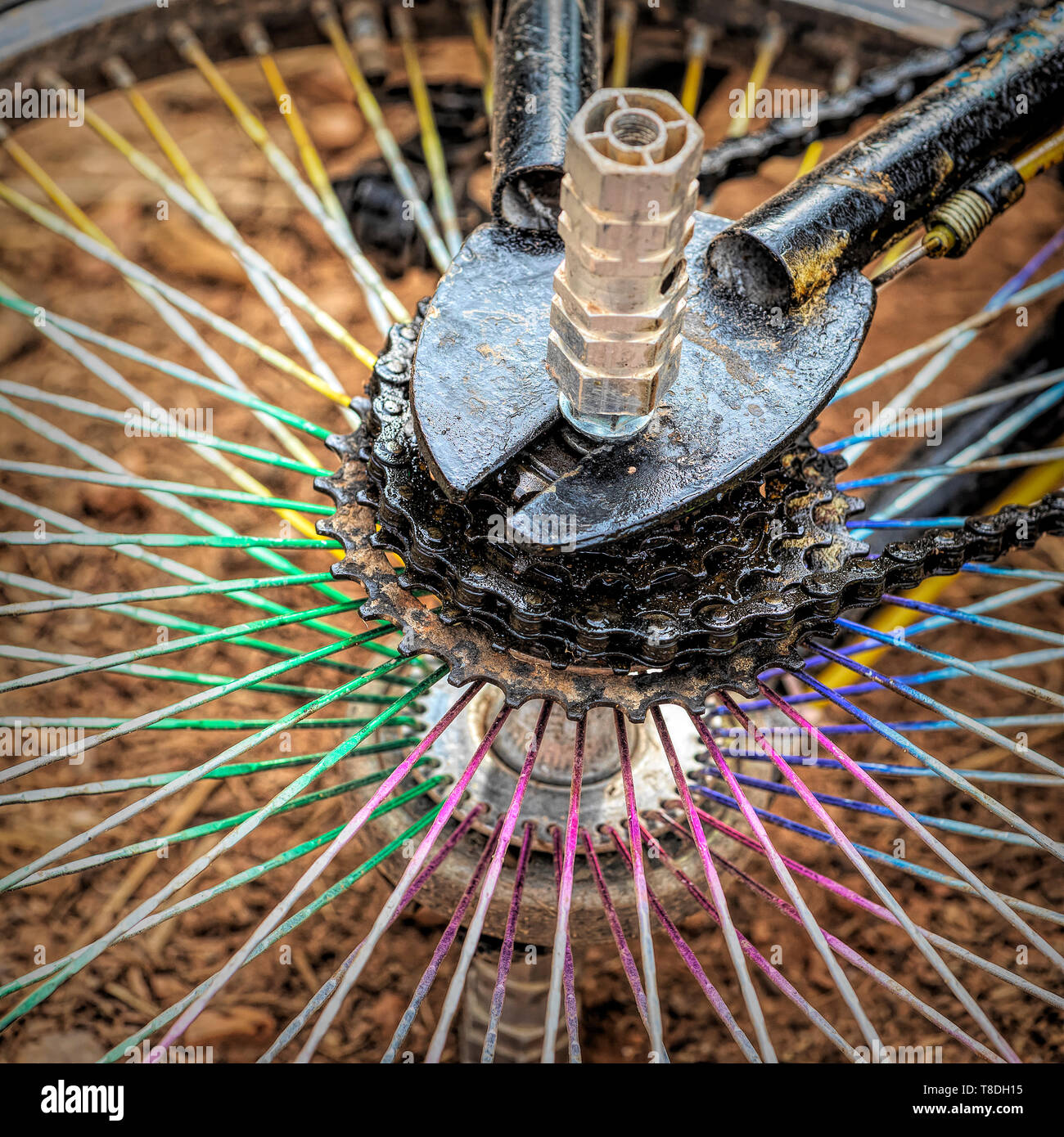 Ruota di bicicletta Foto Stock