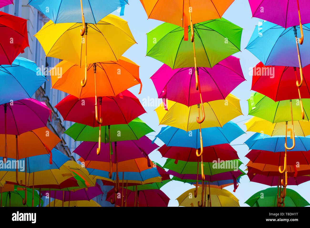 Ombrelloni colorati decorare il cielo in Timișoara city centre Foto Stock