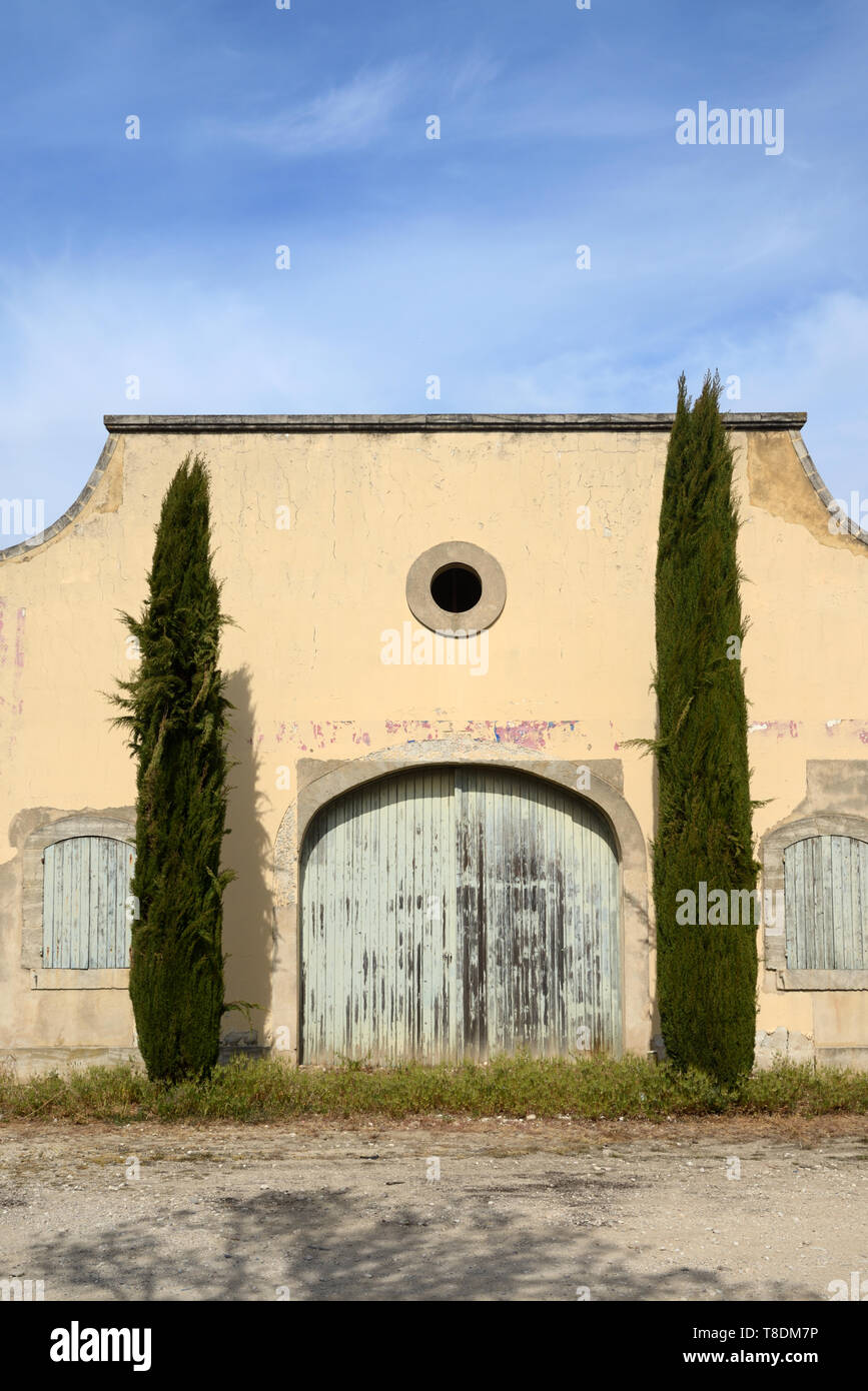 La vecchia porta incorniciata da due cipressi di una vecchia cantina o magazzino Edificio vicino Menerbes Luberon Provence Francia Foto Stock