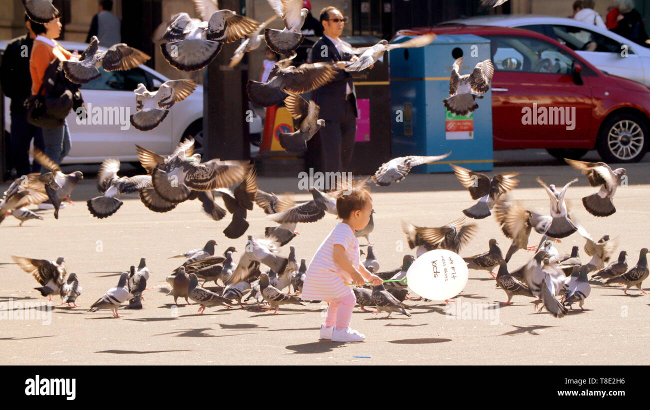 Glasgow, Scotland, Regno Unito, 12 maggio 2019, UK Meteo. Sunny scorcher di un giorno nel centro della città come George Square come persone godere il sole. Credito traghetto Gerard/Alamy Live News Foto Stock
