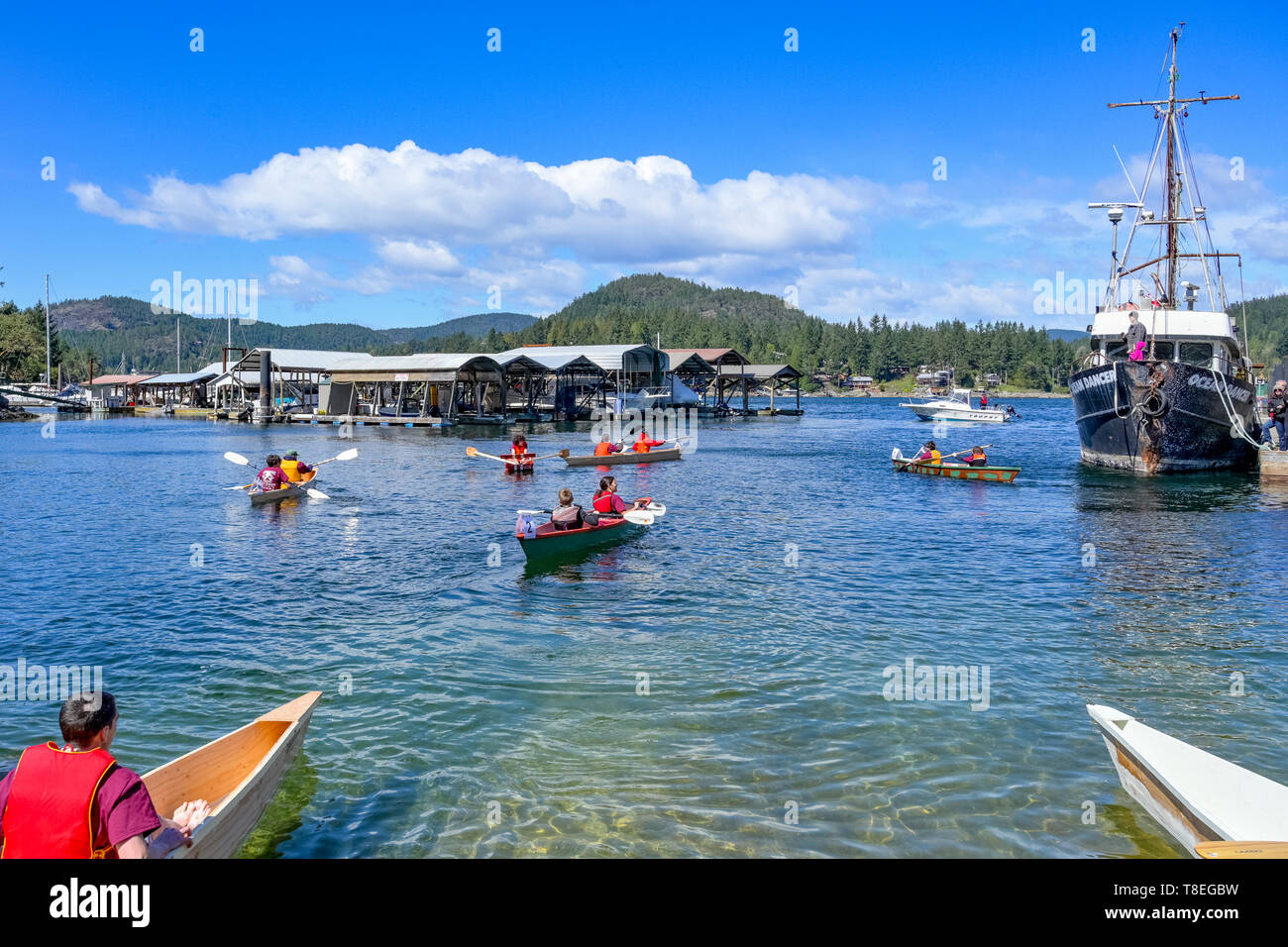 La gioventù di razza, strumenti di aprile la barca di legno Sfida, Pender Harbour, Sunshine Coast, British Columbia, Canada Foto Stock