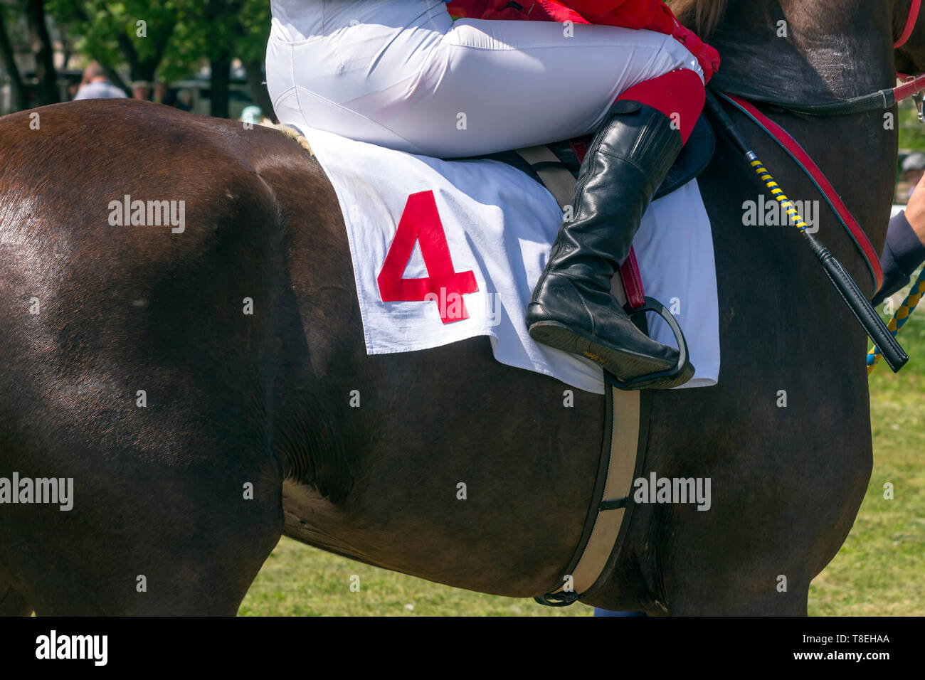 Jockey seduti in sella a un cavallo di baia. Foto Stock