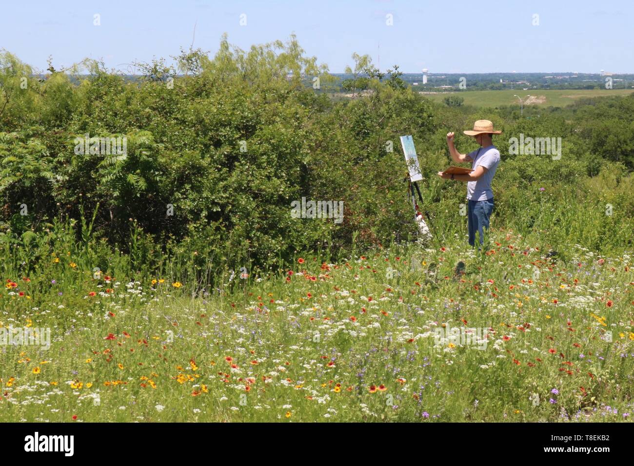 L'uomo pittura in un campo di fiori selvatici Foto Stock