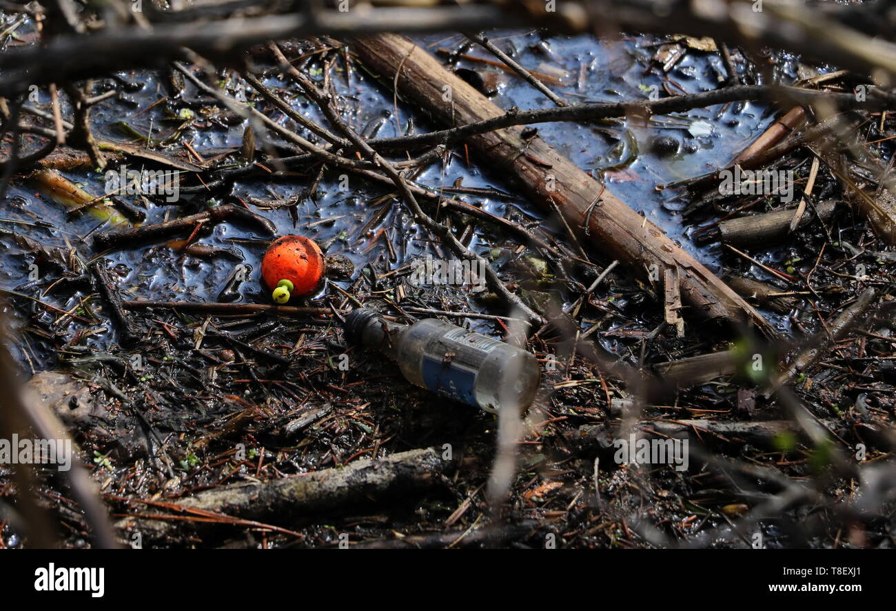 Arancio-rosso pesca galleggiante e gola fra i giunchi sulla riva Foto Stock