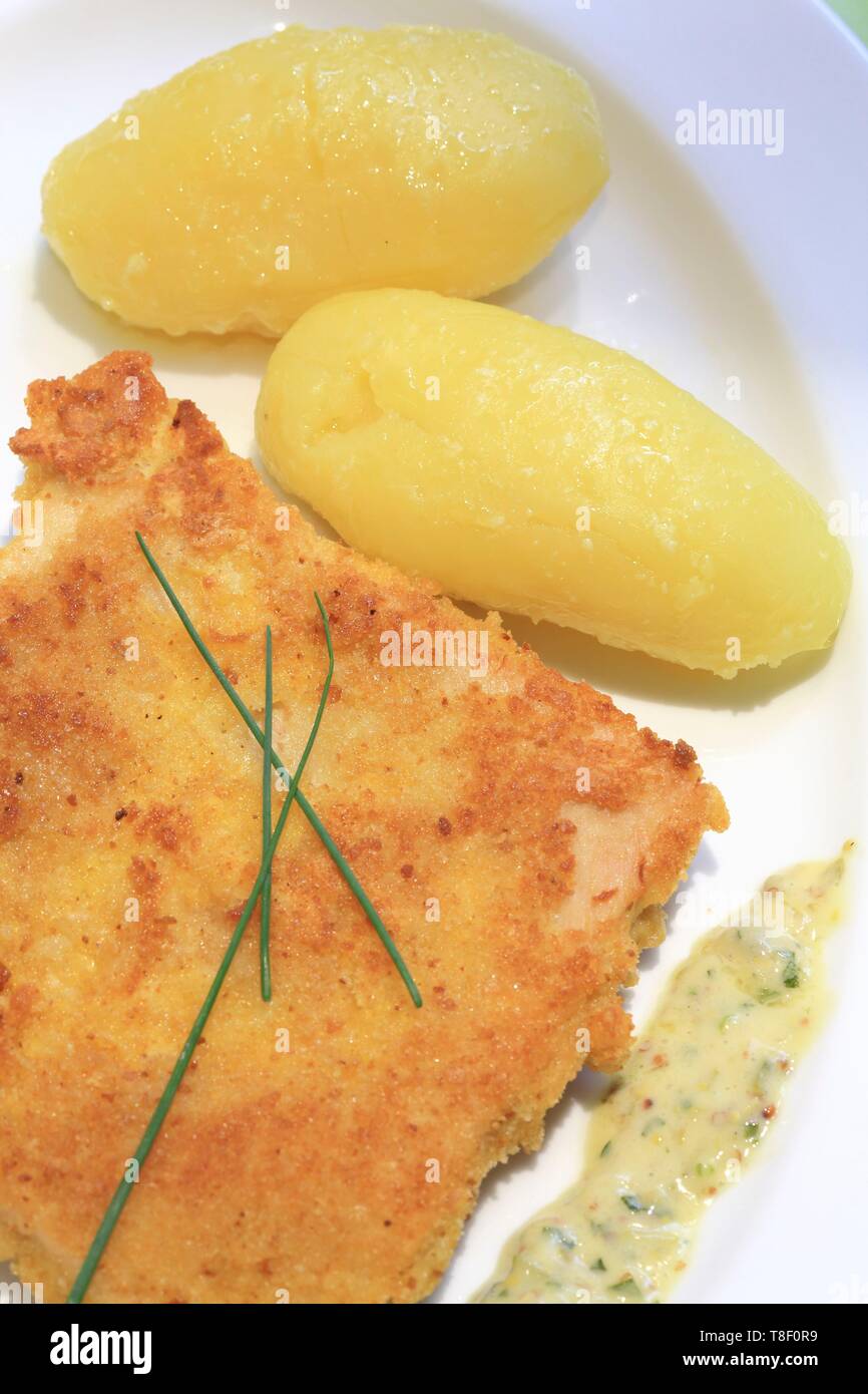 Francia, Rhone, Lione, Boulevard des Brotteaux (6° distretto), Lyonnais cork Cafe du peintre, grembiule salsiccia (Specialità culinaria della regione di Lione basato su fat doppio) Foto Stock