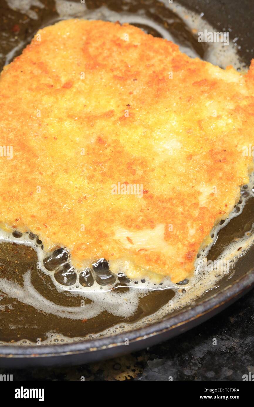 Francia, Rhone, Lione, Boulevard des Brotteaux (6° distretto), Lyonnais cork Cafe du peintre, grembiule salsiccia (Specialità culinaria della regione di Lione basato su fat doppio) Foto Stock
