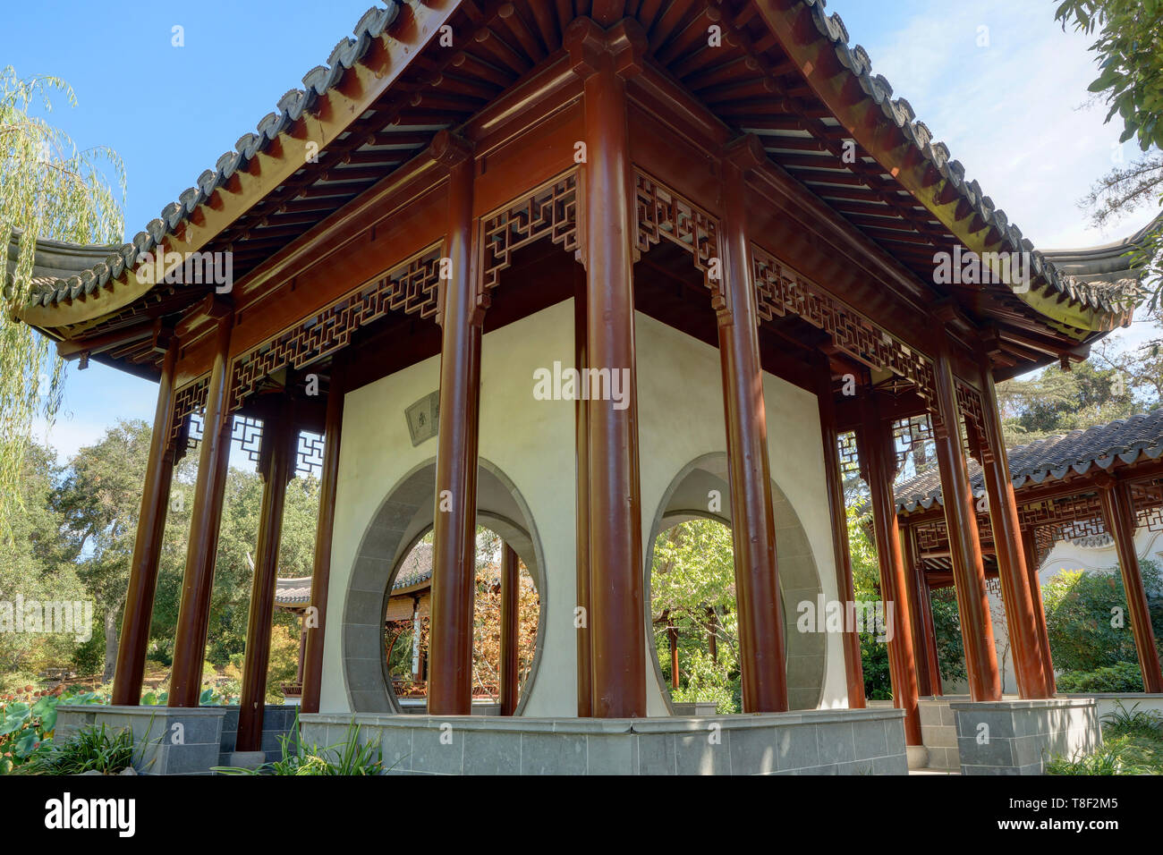 Terrazza del Jade specchio, giardino cinese, il morbo di Huntington Botanical Gardens Foto Stock