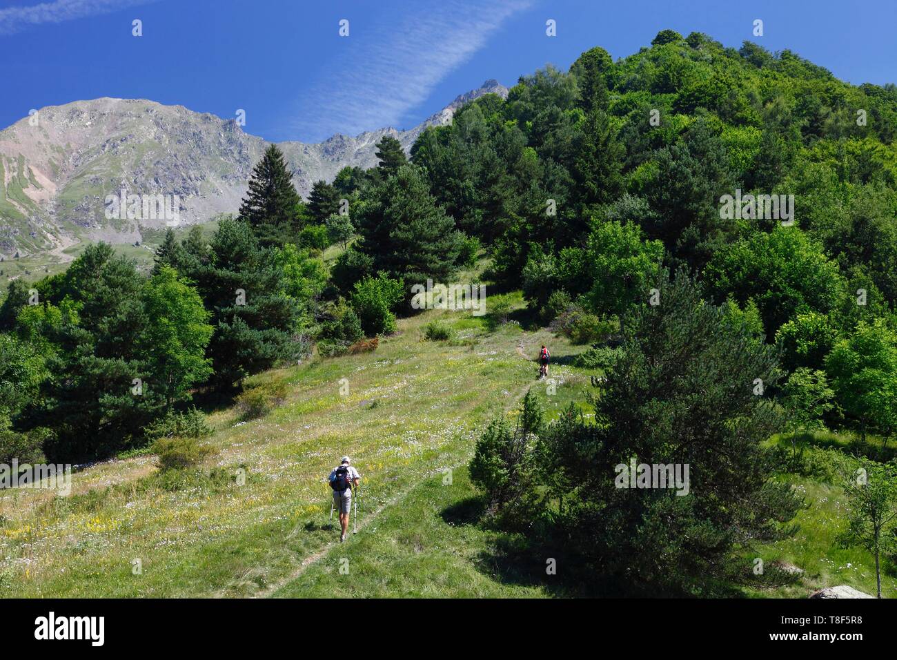 Francia, Isere, Valbonnais, escursionisti al di sopra del villaggio sul C¶te Belle crest Foto Stock