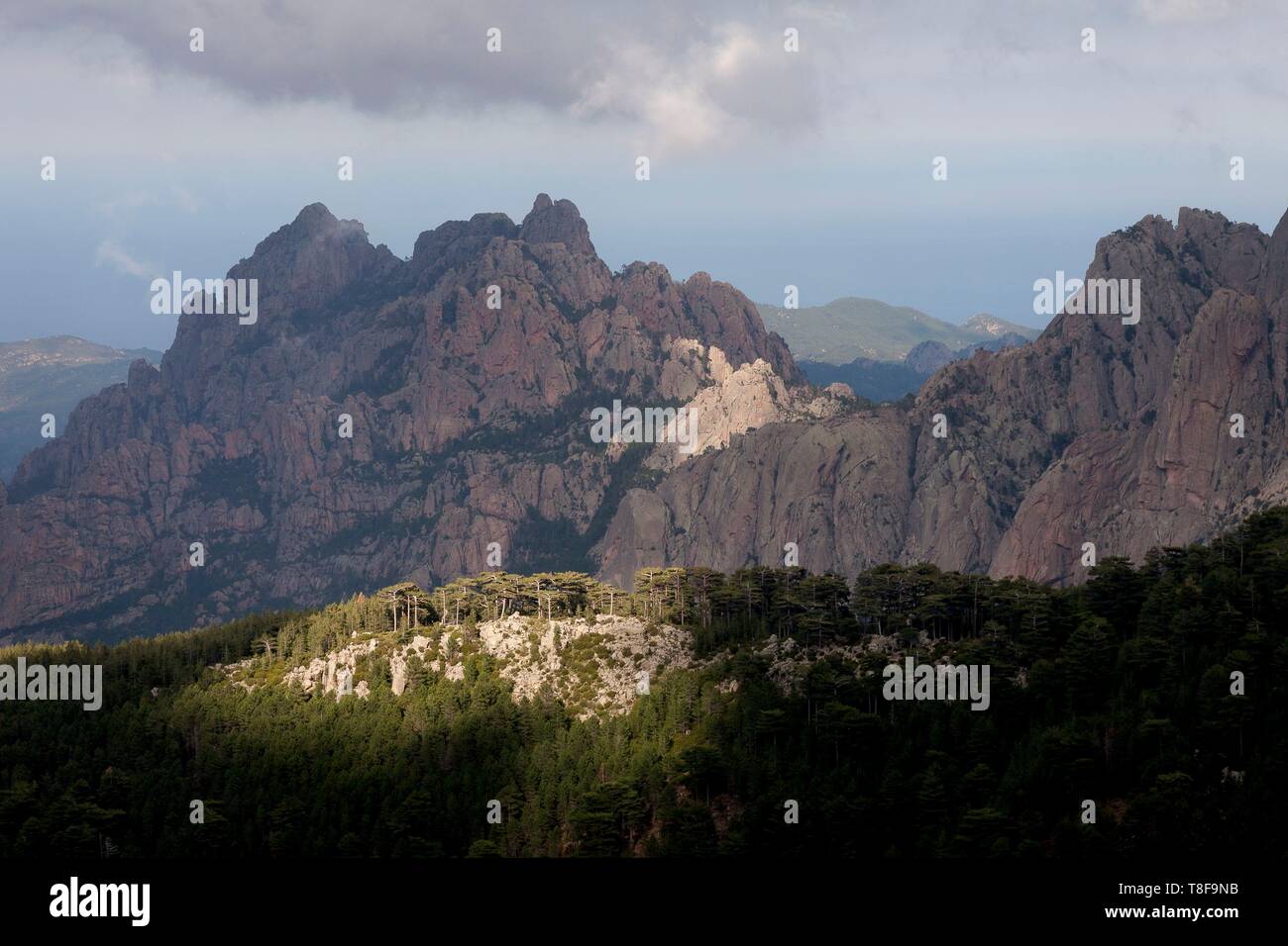 Francia, Corse du Sud, Alta Rocca, Zonza, vista dal colle di Bavella sulla costa orientale e la punta di Ferriate massif (1085m) Foto Stock