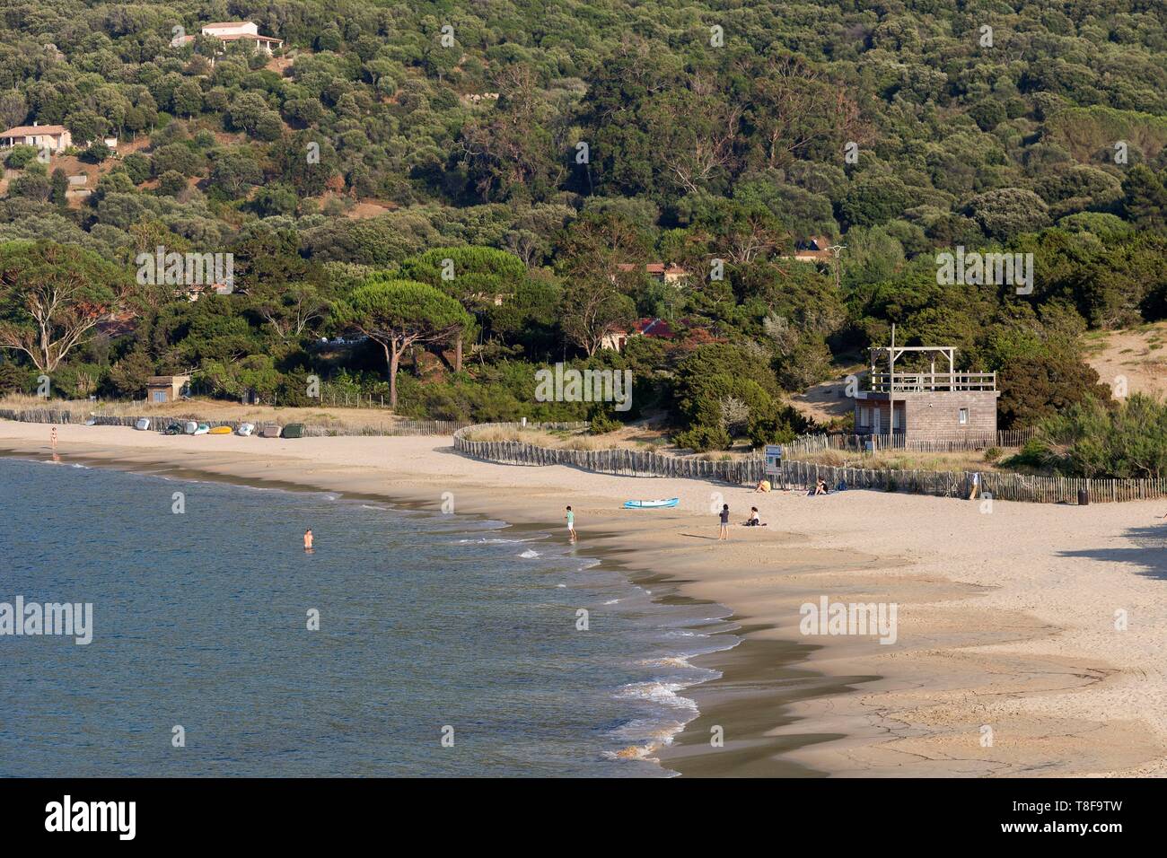 Francia, Corse du Sud, Belvedere Campomoro, spiaggia di Campomoro Foto Stock
