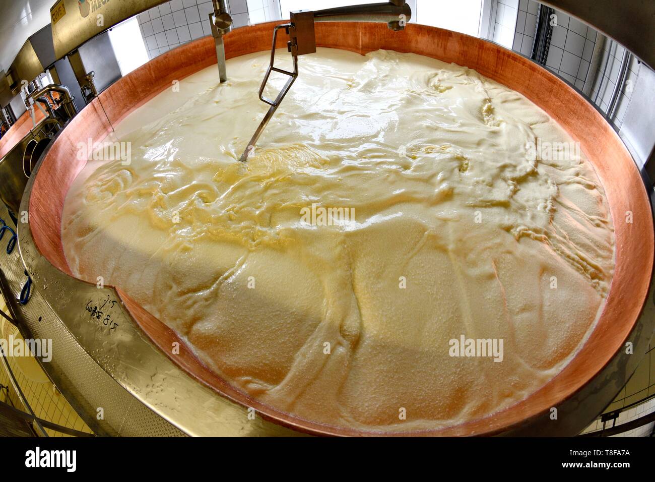 Francia, Doubs, Damprichard, fabbrica di formaggio, di formaggio serbatoio, Comte Foto Stock