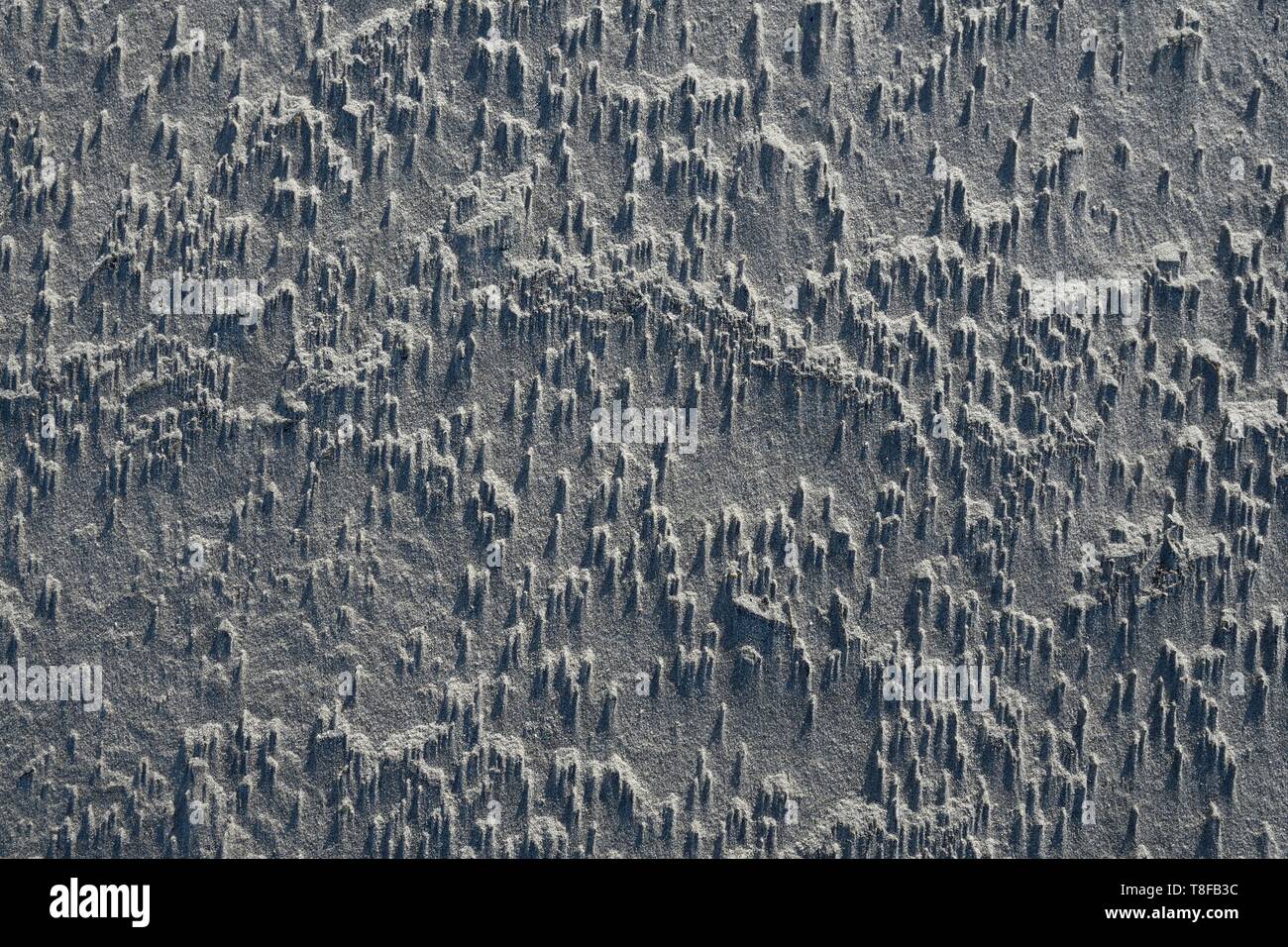 Francia, Somme, Baie de Somme, grafica sulla sabbia della spiaggia di soffiare del vento Foto Stock