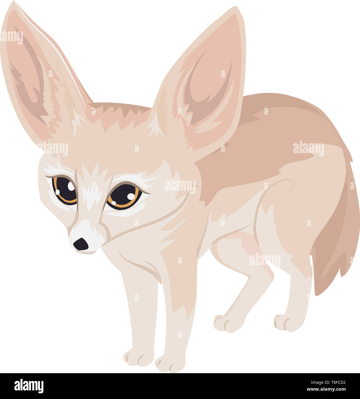 Illustrazione di un Fennec Fox Foto Stock