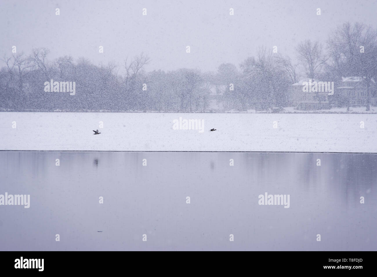 Aprile neve, 2019. Lago Minnetonka, Minnesota Foto Stock