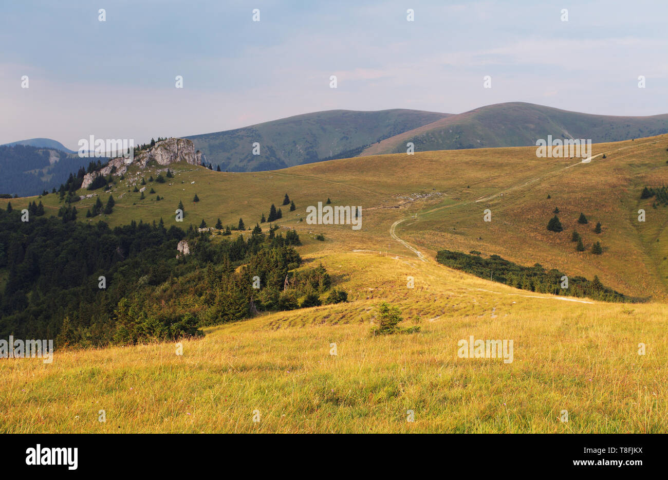 Prato e bosco in montagna Fatras Foto Stock