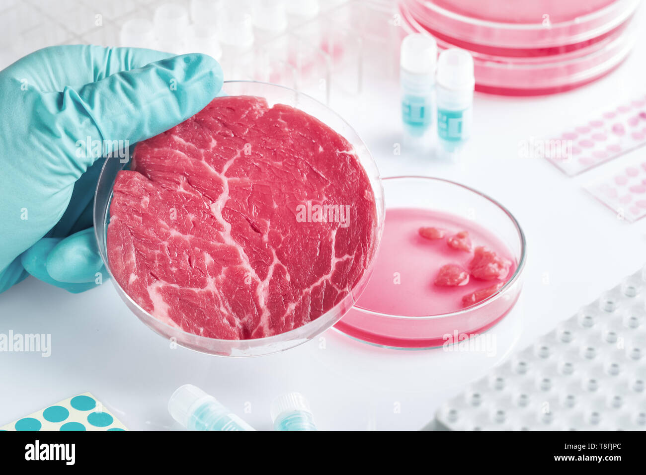 Campione di carne in aperto in plastica usa e getta la coltura cellulare piatto nel moderno laboratorio o stabilimento di produzione. Concetto di pulire la carne coltivate in vitro da un Foto Stock