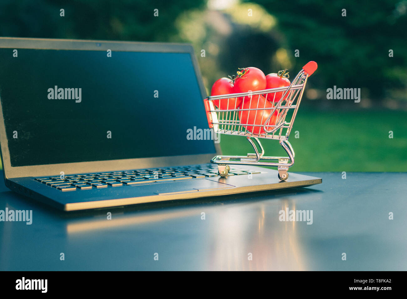 Concetto di on-line negozi di alimentari. Una miniatura del carrello con i pomodori è un permanente di un notebook. Foto Stock Concetto di on-line negozi di alimentari. Una miniatura del carrello con i pomodori è un permanente di un notebook. Foto Stock