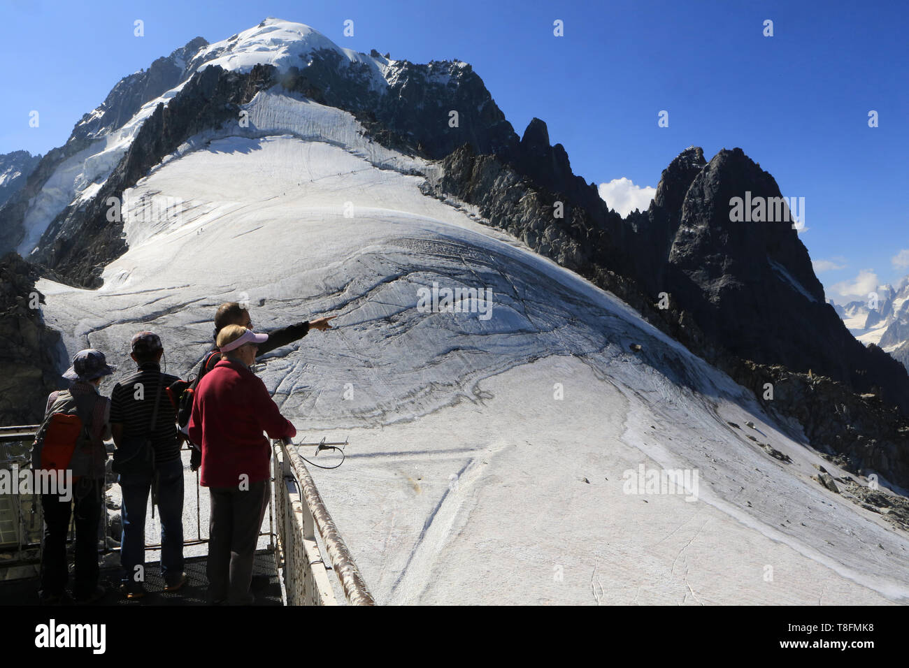L'Aiguille Verte (4.122 m.). Les Drus (3754 m). Le petit Dru (3.730 m) et le grand Dru (3.754 m.). Le Glacier des Grands Montets. Vue depuis l'Aiguille Foto Stock