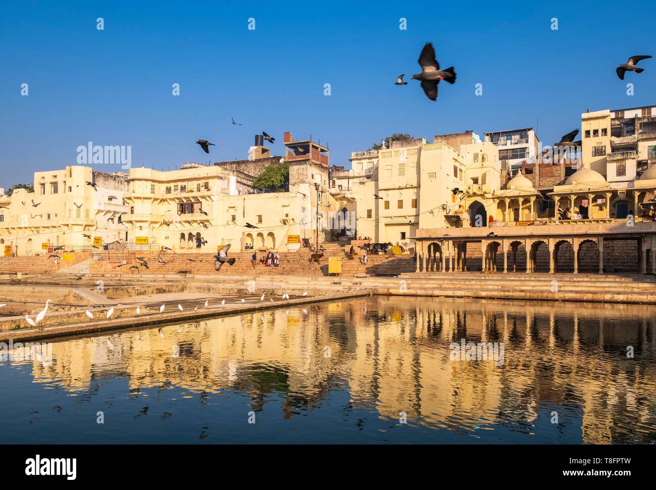 India Rajasthan, Pushkar, città santa per gli indù, lago santo circondato da 52 la balneazione ghats Foto Stock