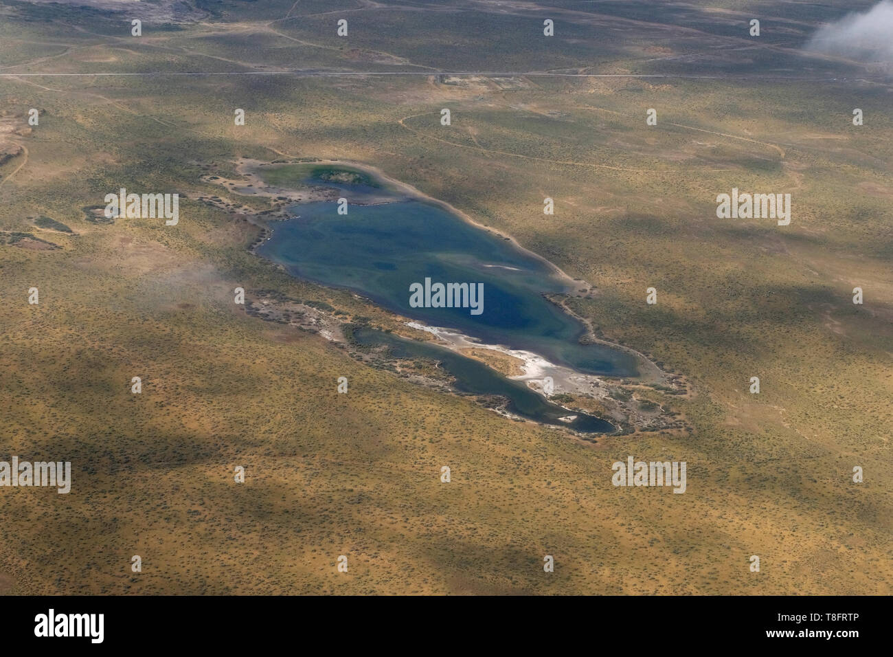 Laghi Amu Darya delta nella Repubblica Autonoma del Karakalpakstan in Uzbekistan. Foto Stock
