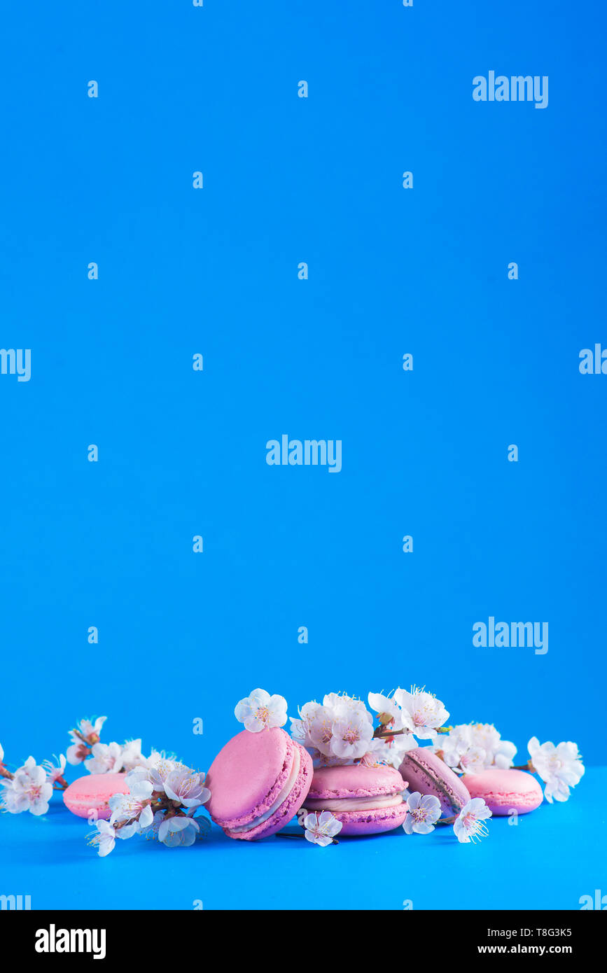 Amaretto francese i cookie con la fioritura dei ciliegi fiori su un cielo blu con sfondo spazio copia. Color pop cibo Foto Stock