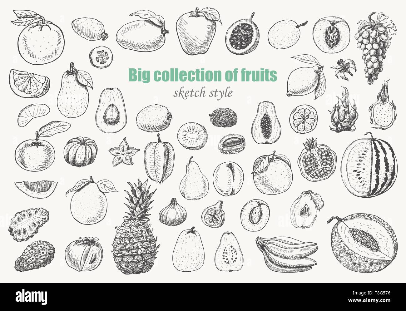 Grande raccolta di frutti su sfondo bianco. Illustrazione di vettore per il tuo design Illustrazione Vettoriale