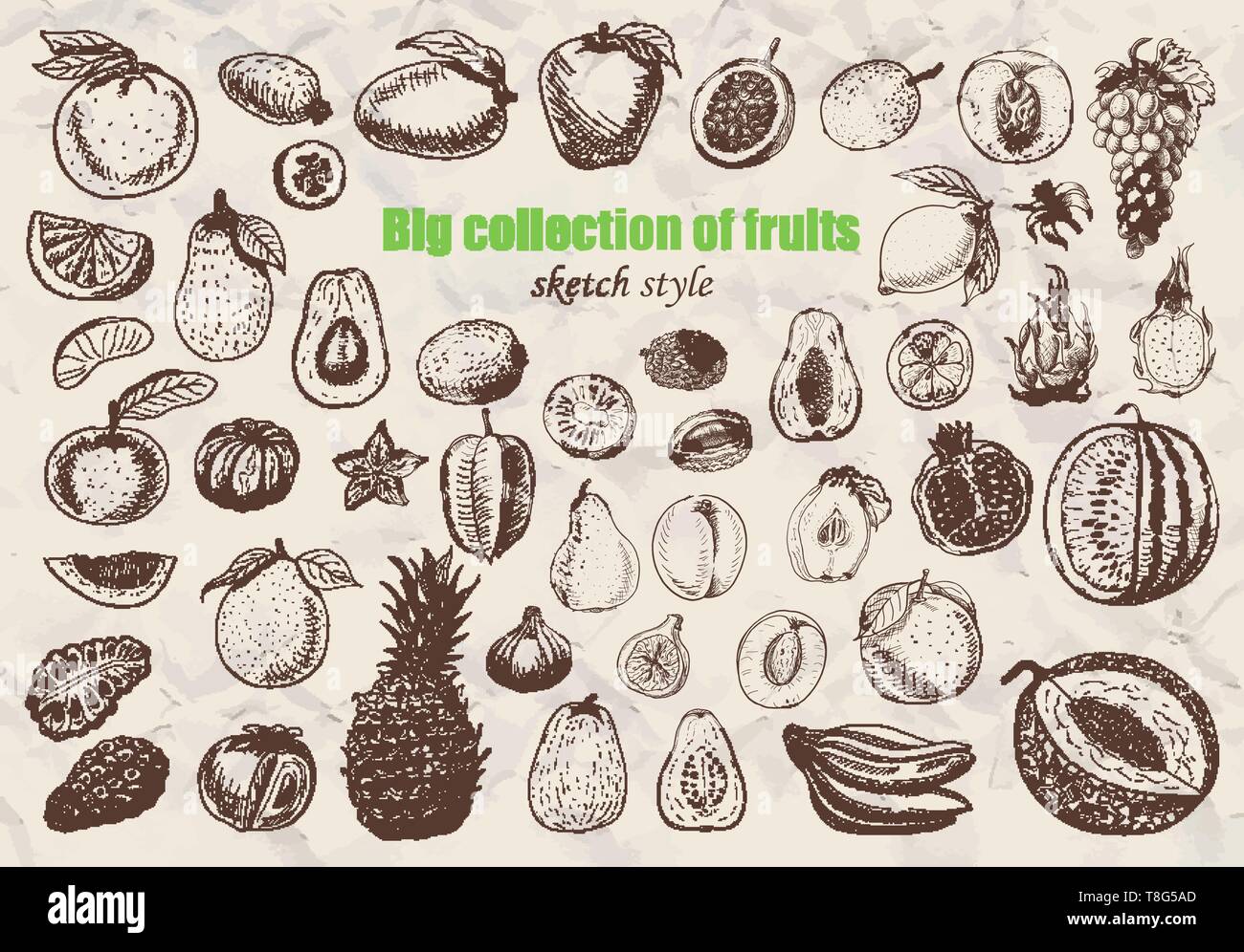 Grande raccolta di frutti nel disegno stile. Illustrazione di vettore per il tuo design Illustrazione Vettoriale