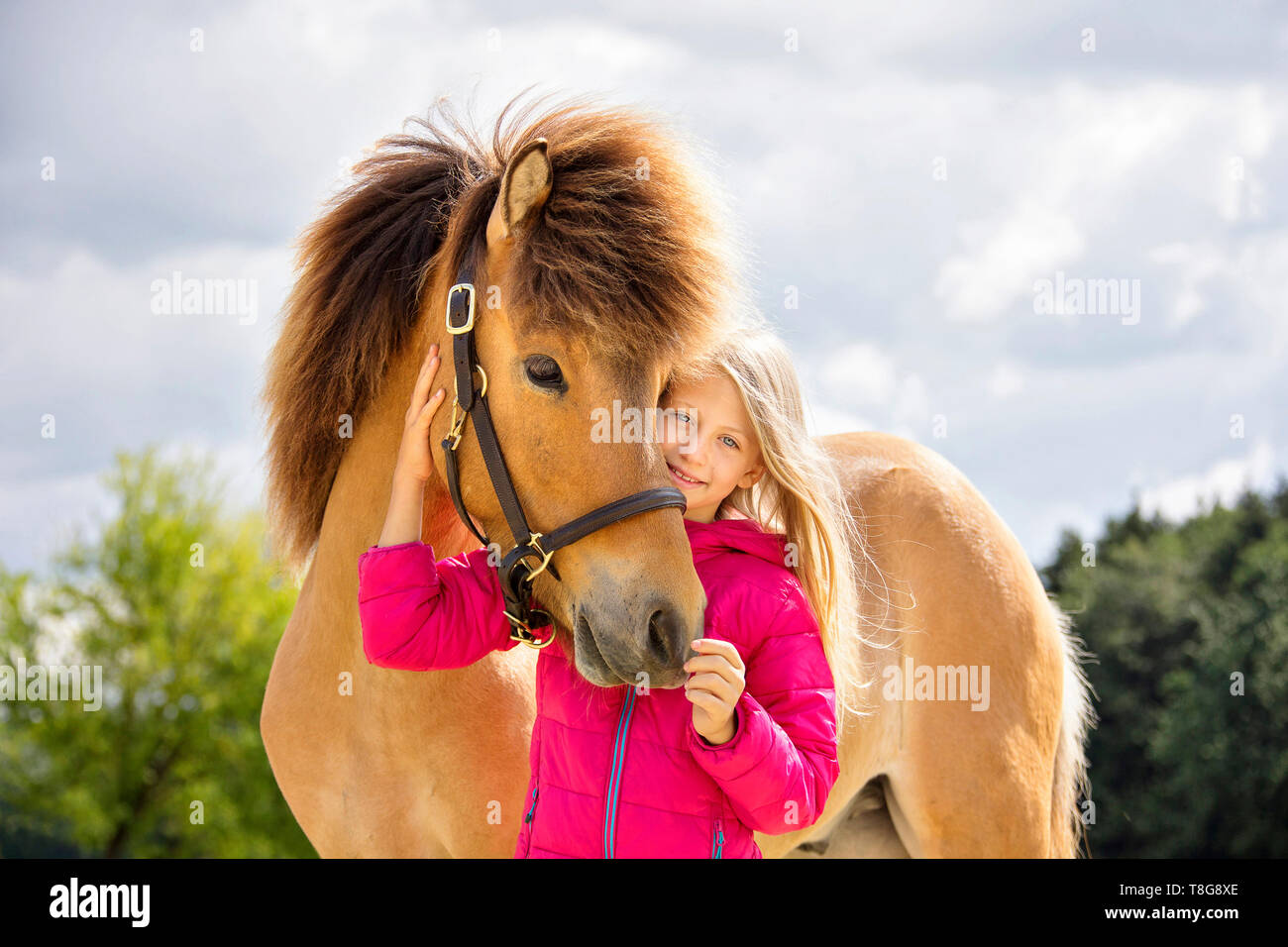 Cavallo islandese. Smooching ragazza con un pinto castrazione. Austria Foto Stock