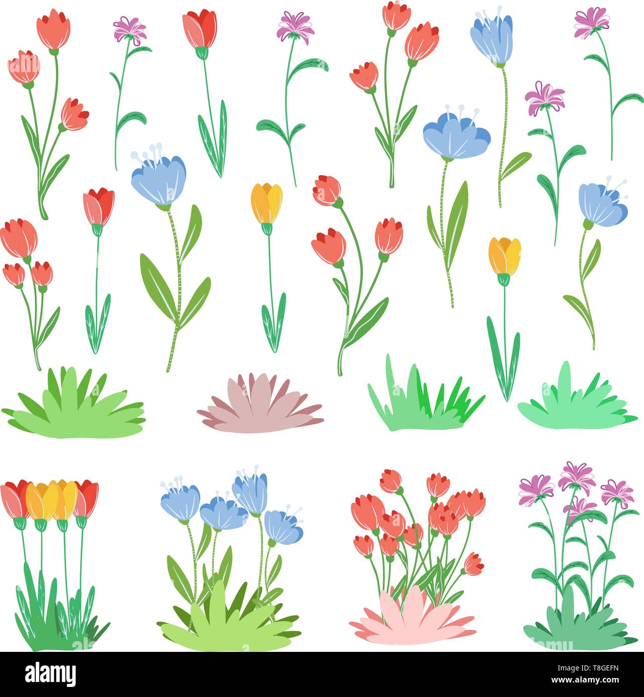 Insieme di piante differenti in stile appartamento. Fiori isolati su sfondo bianco e bouquet. Illustrazione Vettoriale Illustrazione Vettoriale