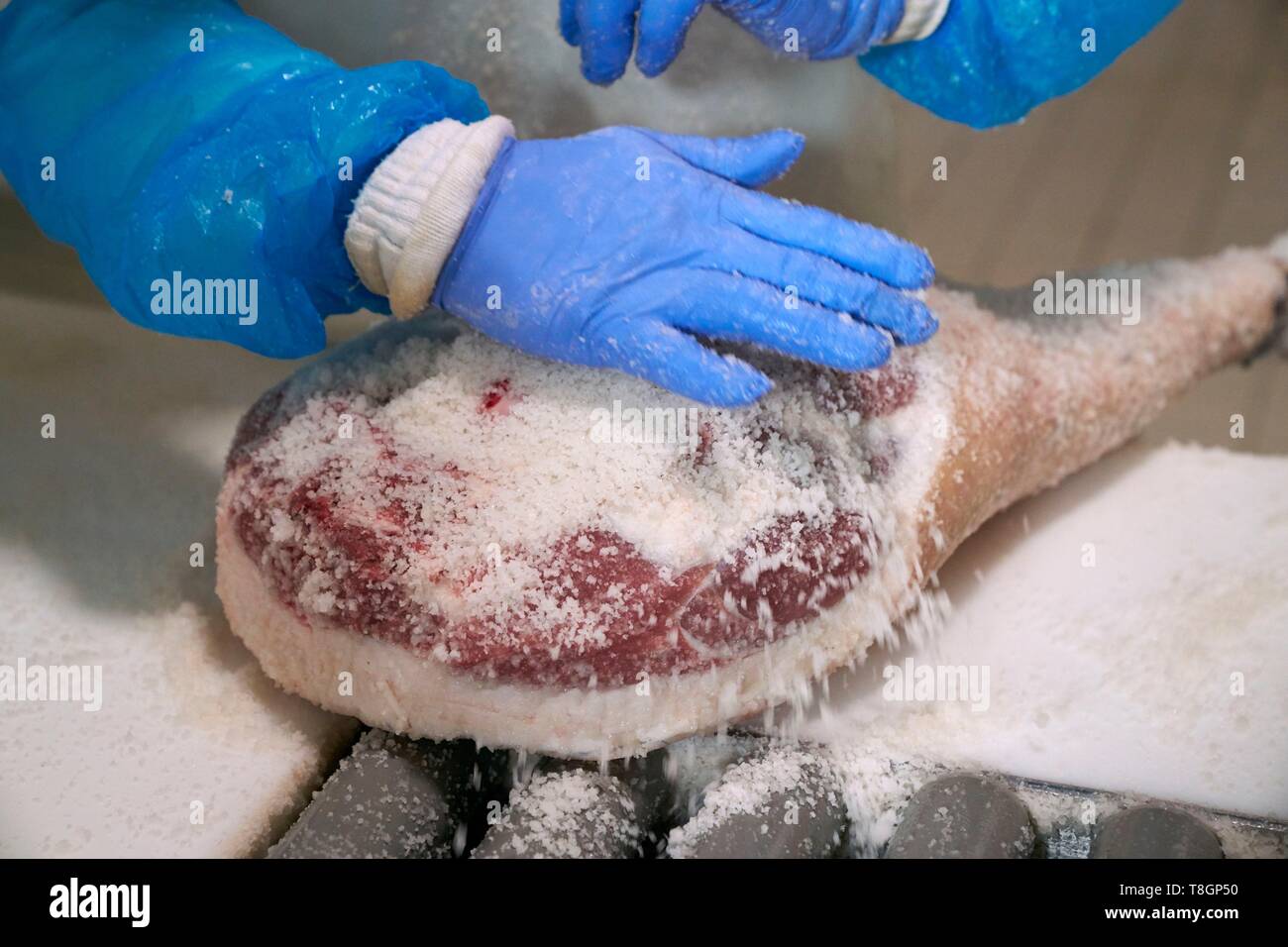 Francia, Hautes Pirenei, Louey, Salaison de l'Adour Foto Stock